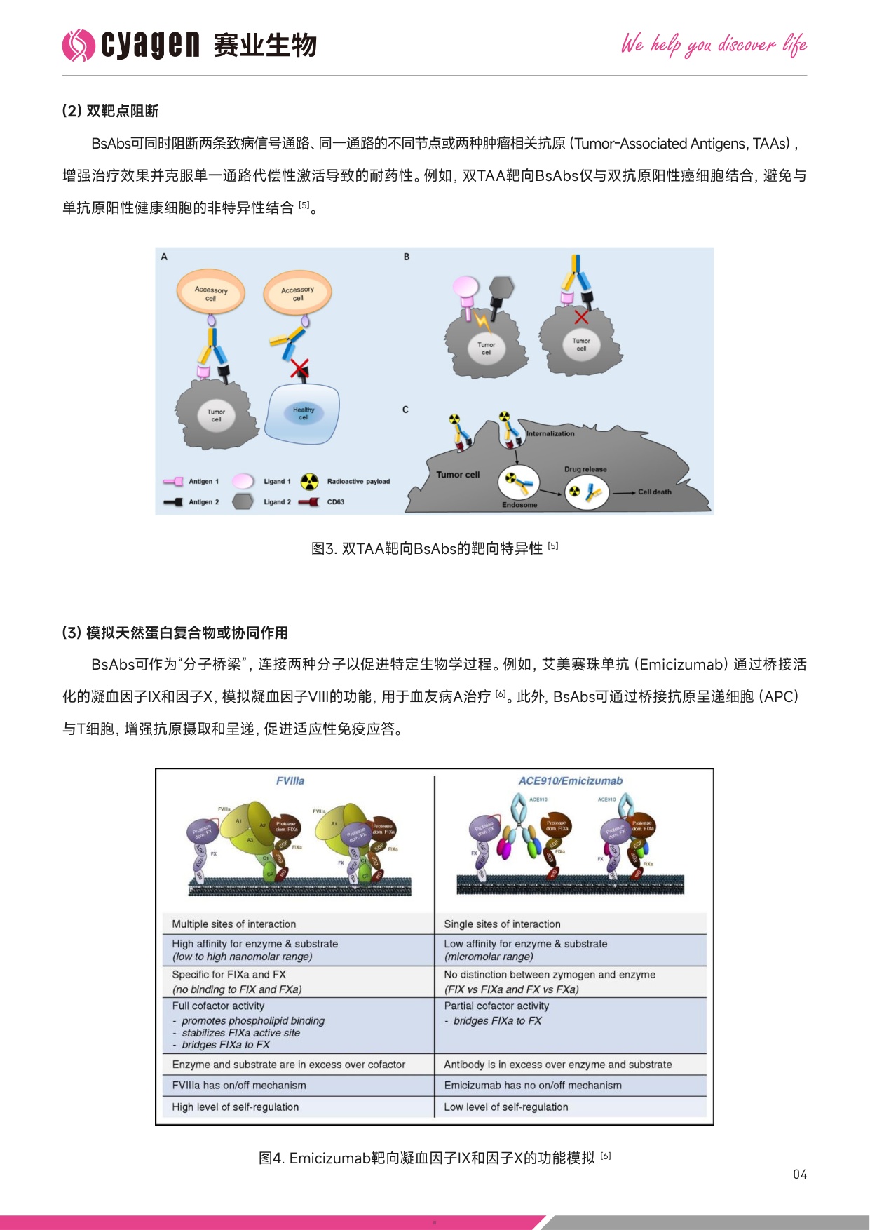 赛业生物OriCell2025中国双特异性抗体药物市场全景分析暨创新研发解决方案白皮书39页.pdf