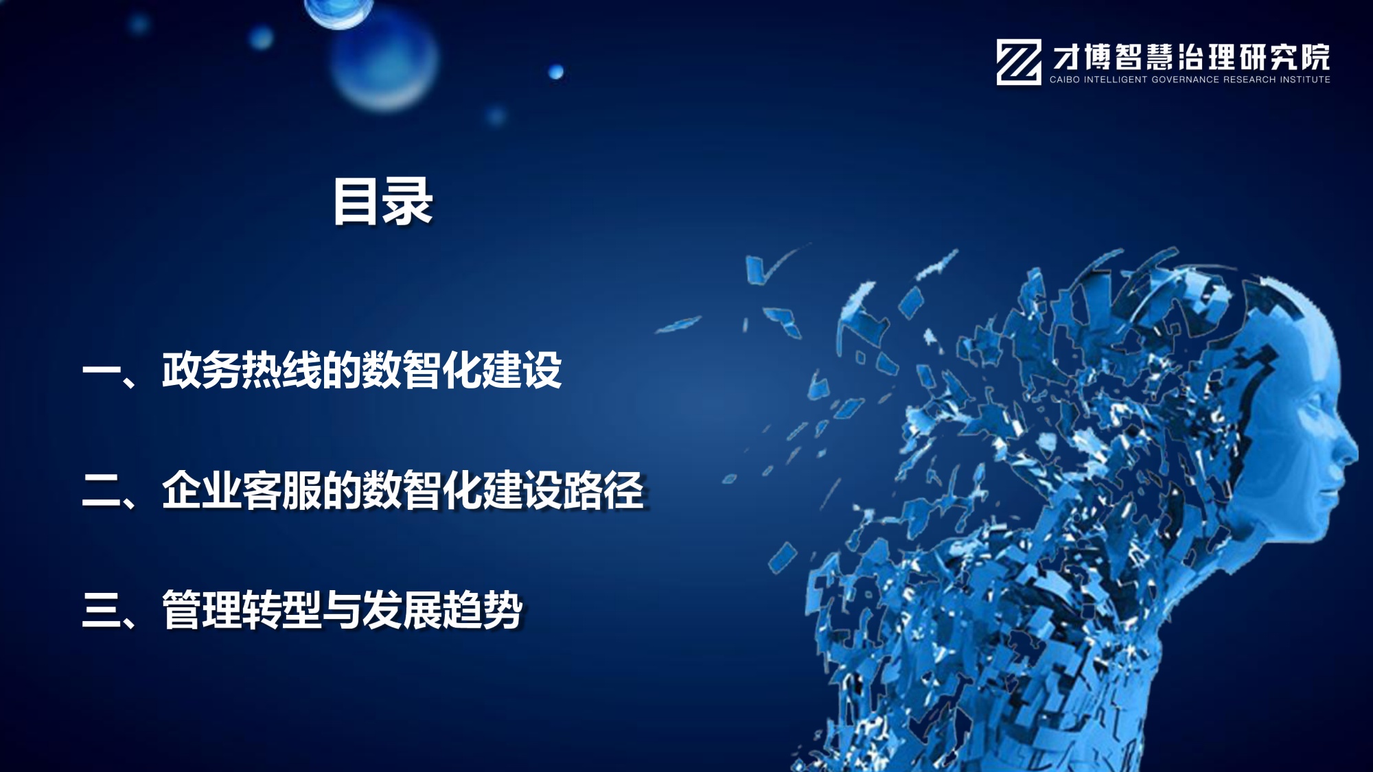文宁《AI智能体重构客服：全域数据运营与智能决策实战》.pdf