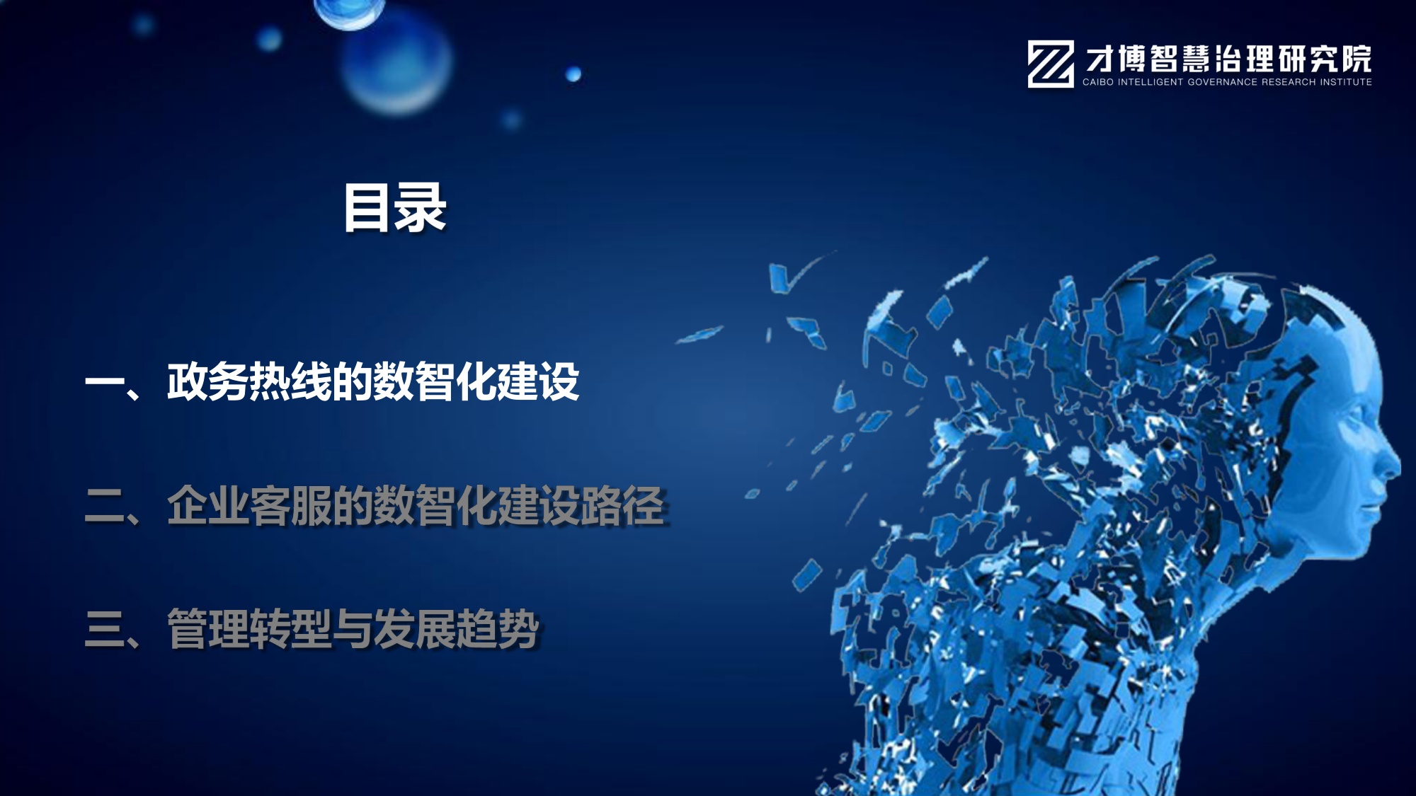 文宁《AI智能体重构客服：全域数据运营与智能决策实战》.pdf