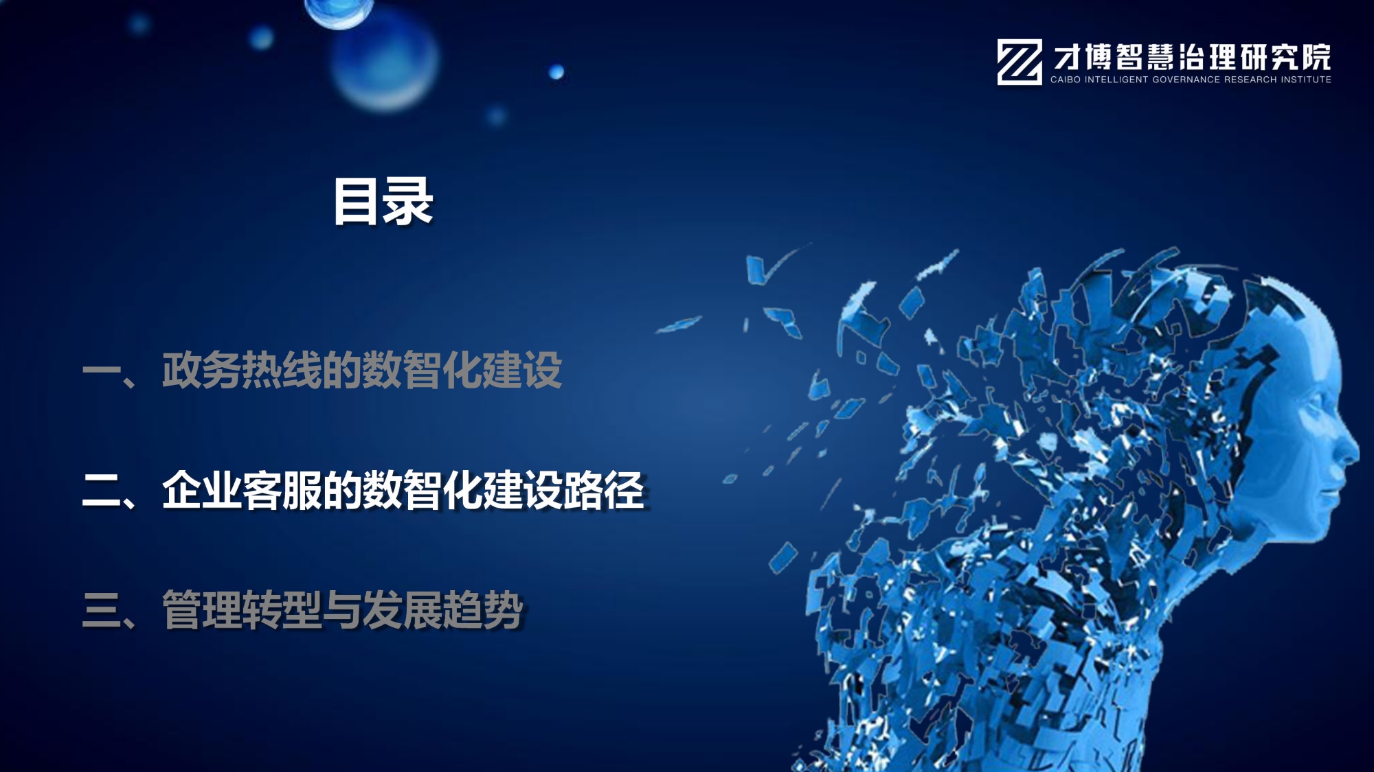 文宁《AI智能体重构客服：全域数据运营与智能决策实战》.pdf