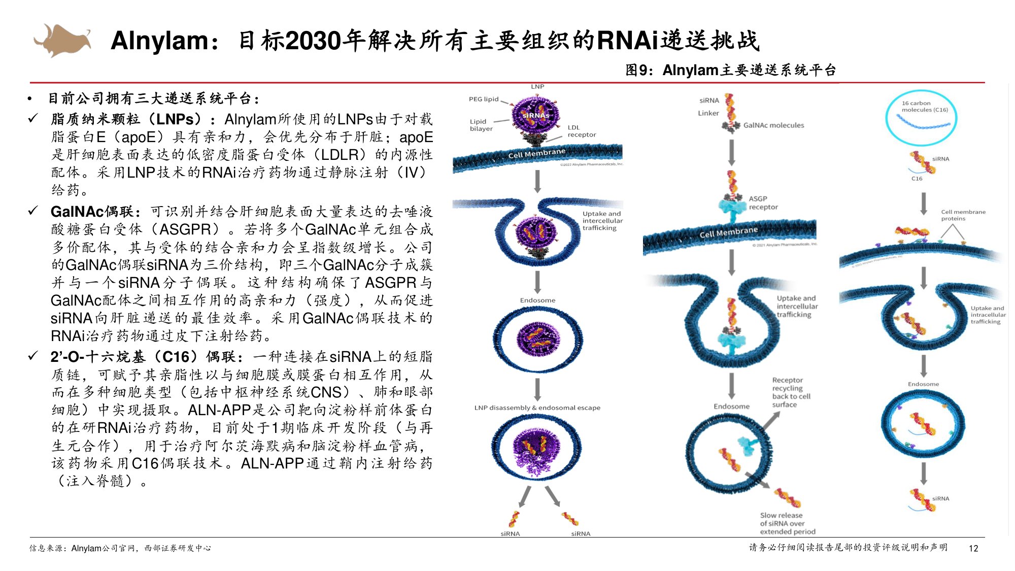 小核酸行业专题海外药企小核酸创新布局篇-26050726页.pdf
