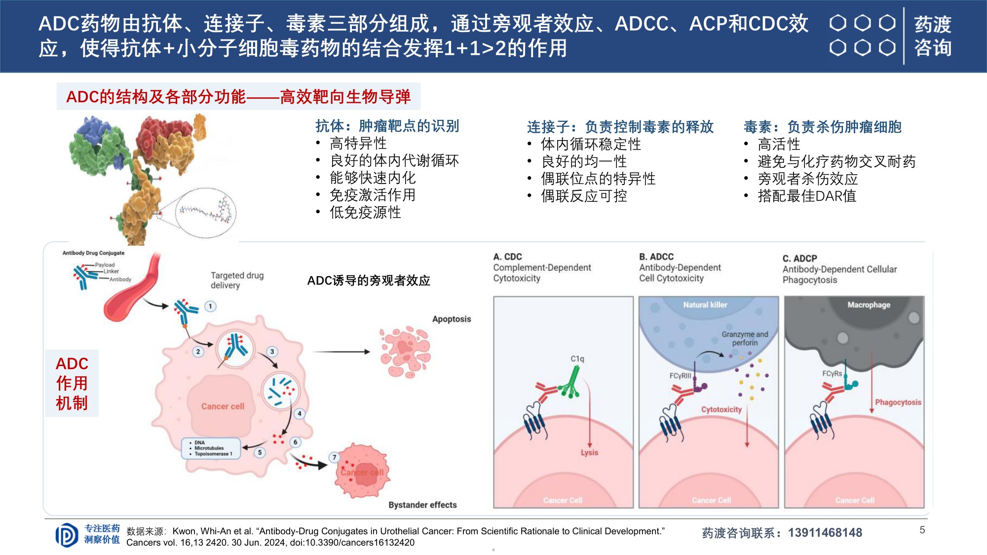 药渡咨询2026ADC研发全球格局与下一代演进趋势报告29页.pdf