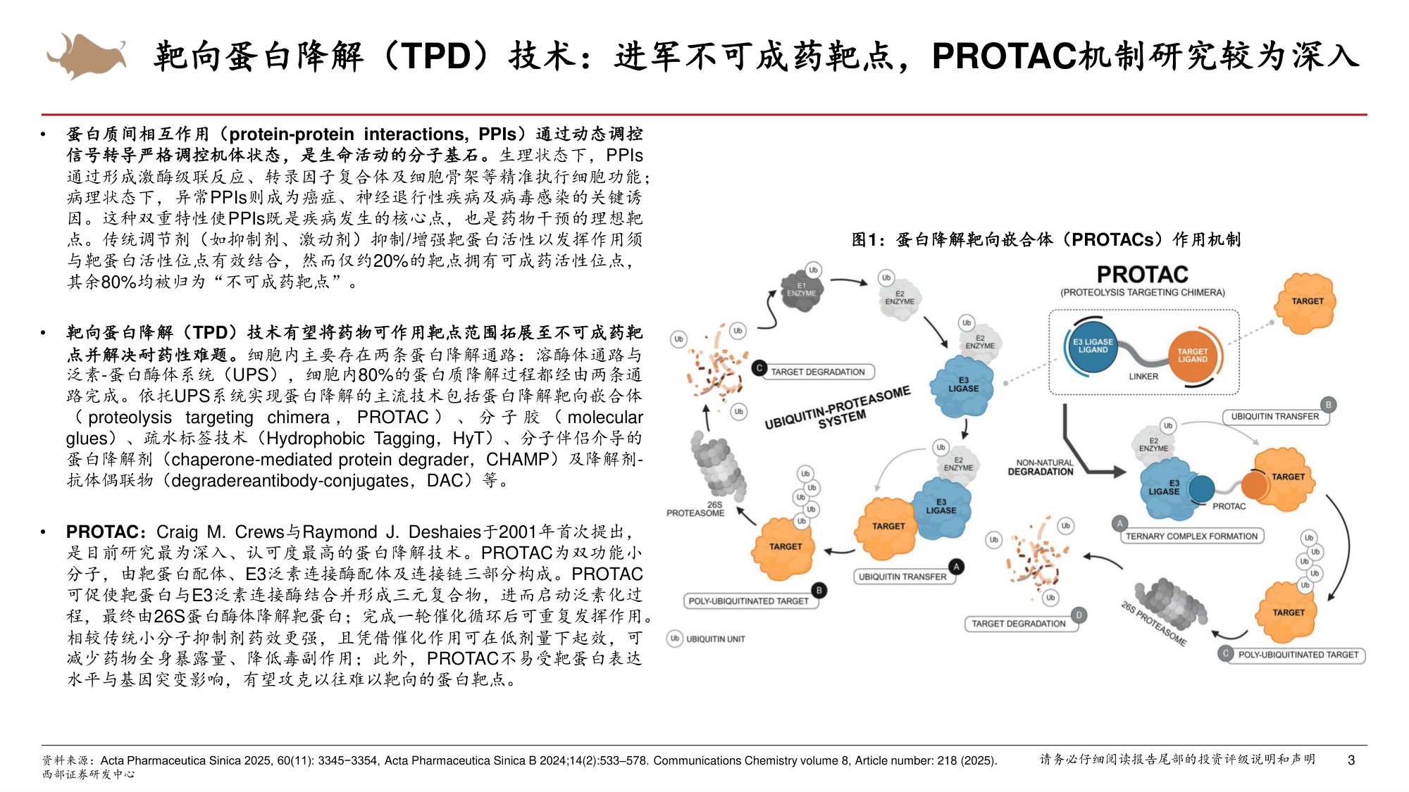 医药生物行业靶向蛋白降解技术步入商业化PROTAC分子胶赛道实现突破-26071938页.pdf