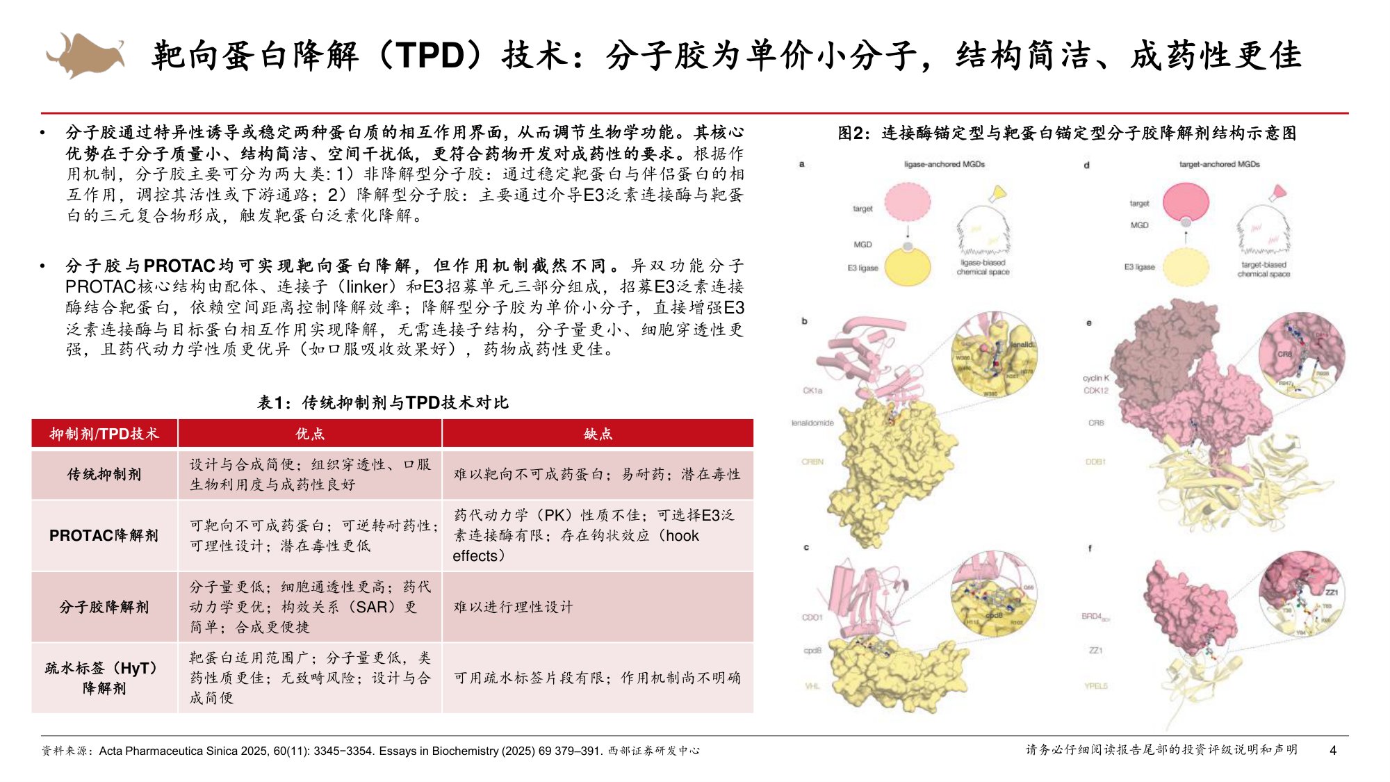 医药生物行业靶向蛋白降解技术步入商业化PROTAC分子胶赛道实现突破-26071938页.pdf