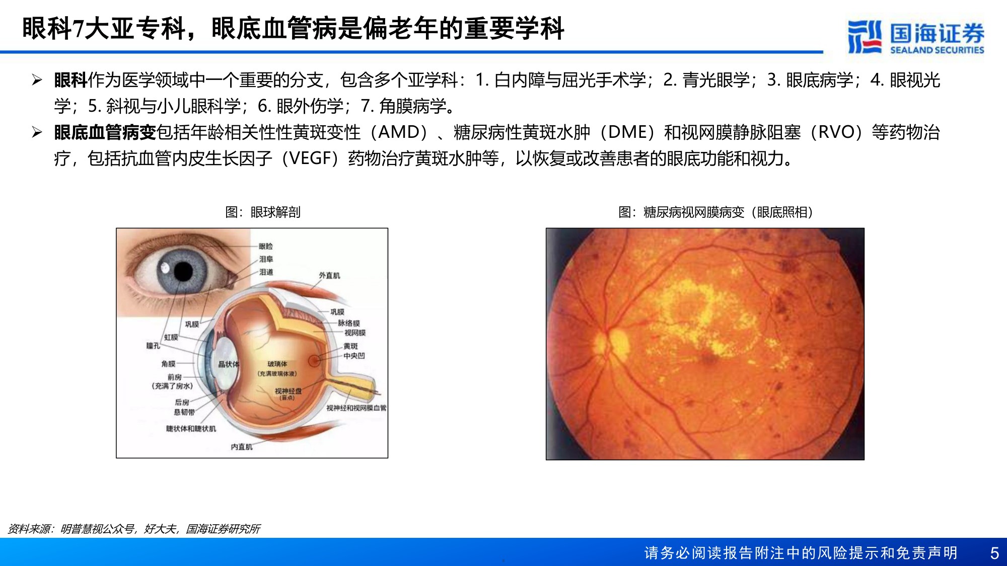 医药生物行业报告眼底血管病催化大年ARVO会议召开在即关注中国资产-26042828页.pdf