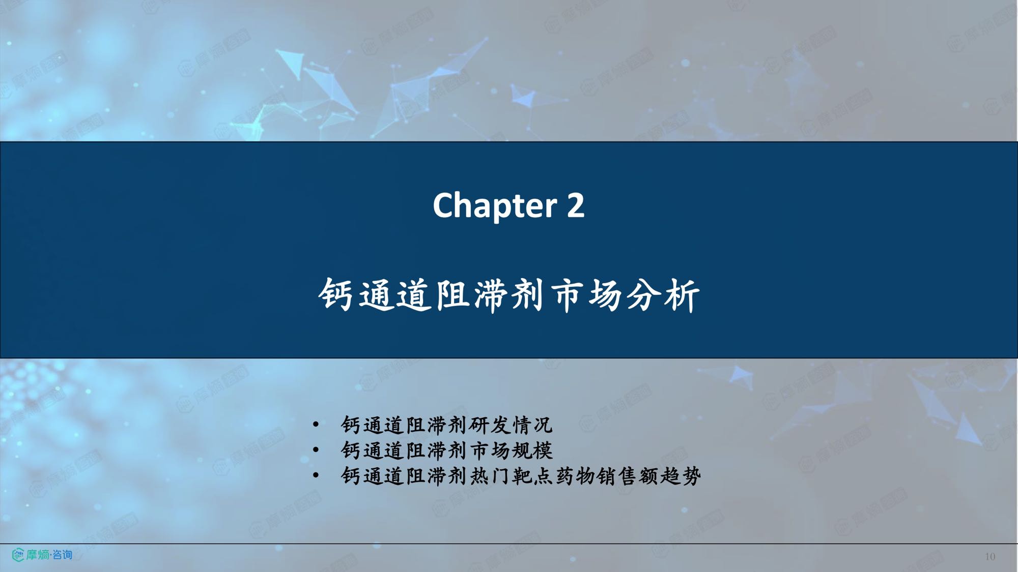 2026年钙通道阻滞剂市场表现洞察报告-摩熵咨询.pdf
