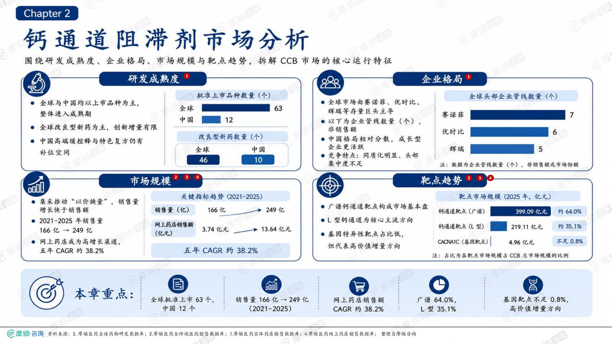 2026年钙通道阻滞剂市场表现洞察报告-摩熵咨询.pdf