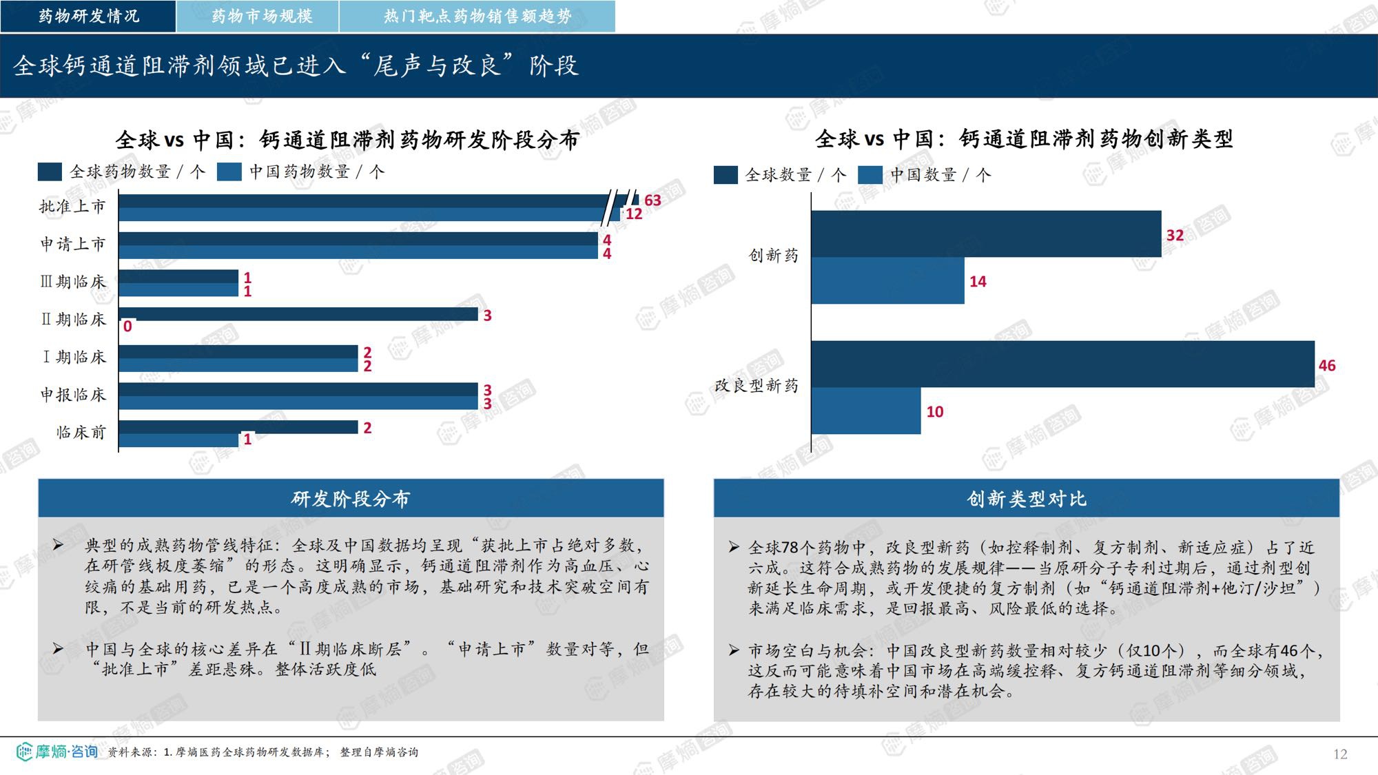 2026年钙通道阻滞剂市场表现洞察报告-摩熵咨询.pdf