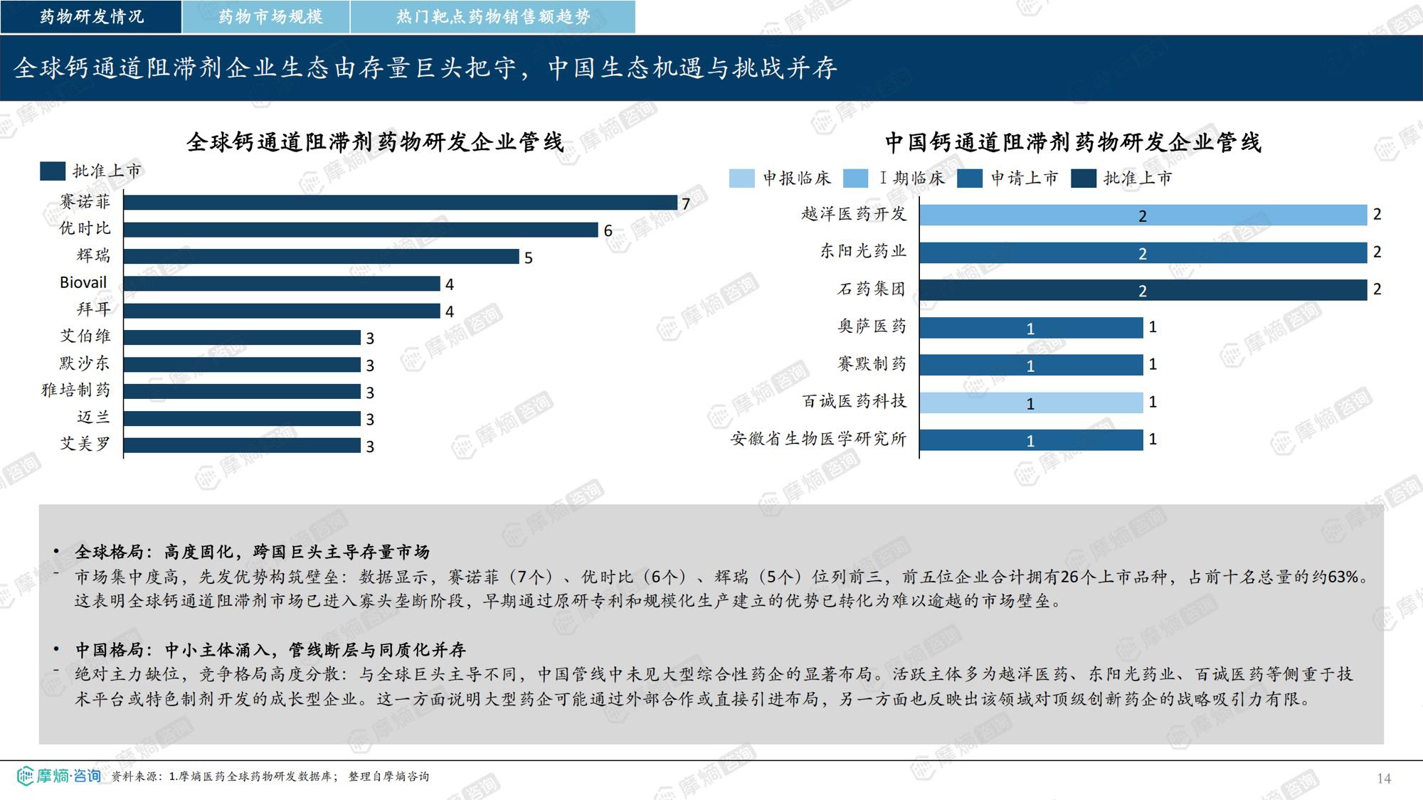 2026年钙通道阻滞剂市场表现洞察报告-摩熵咨询.pdf