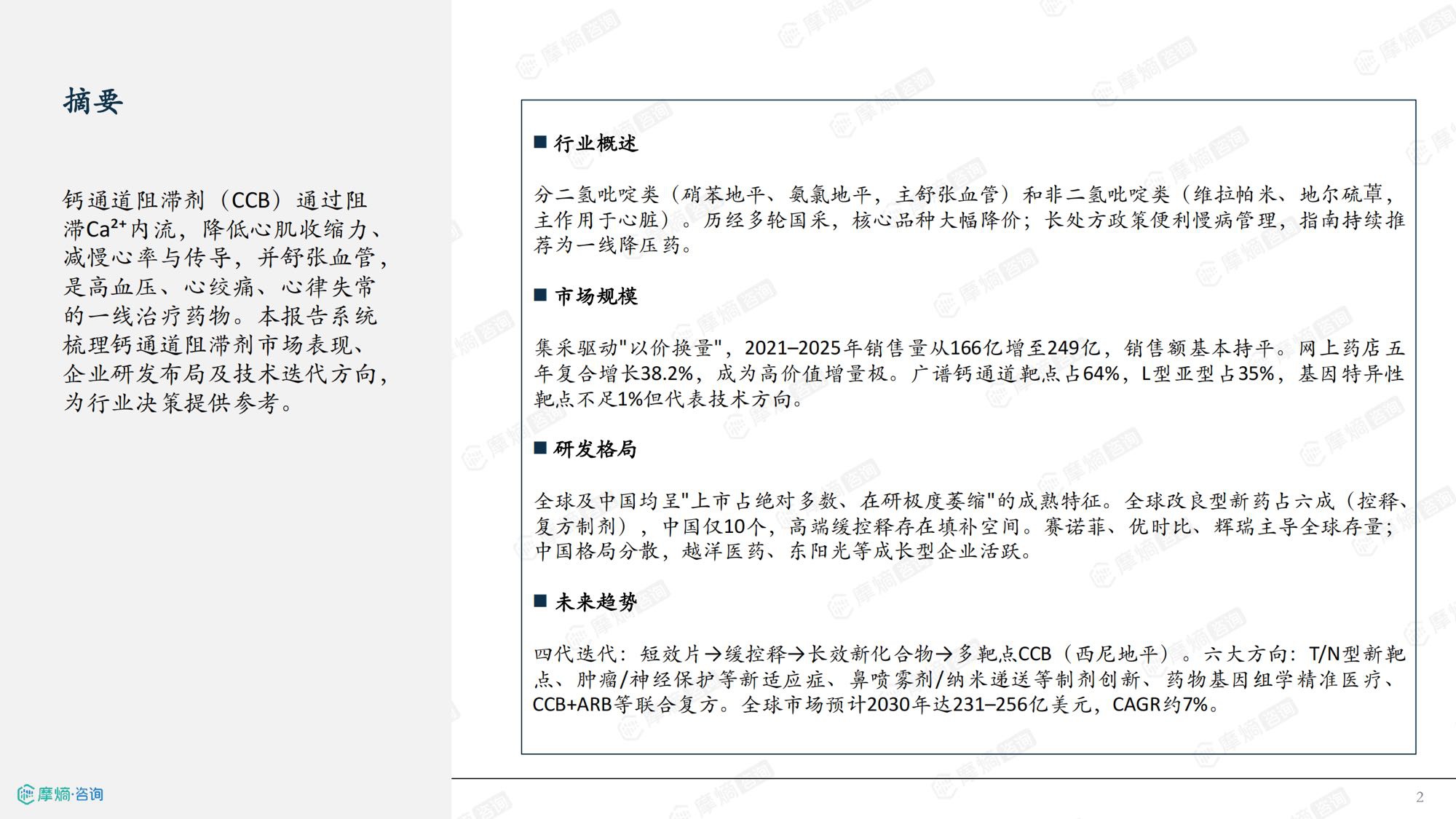 2026年钙通道阻滞剂市场表现洞察报告-摩熵咨询.pdf