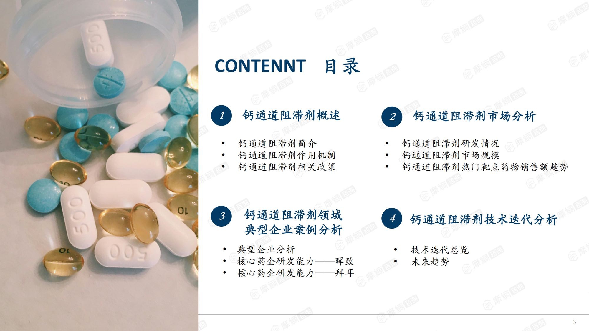 2026年钙通道阻滞剂市场表现洞察报告-摩熵咨询.pdf