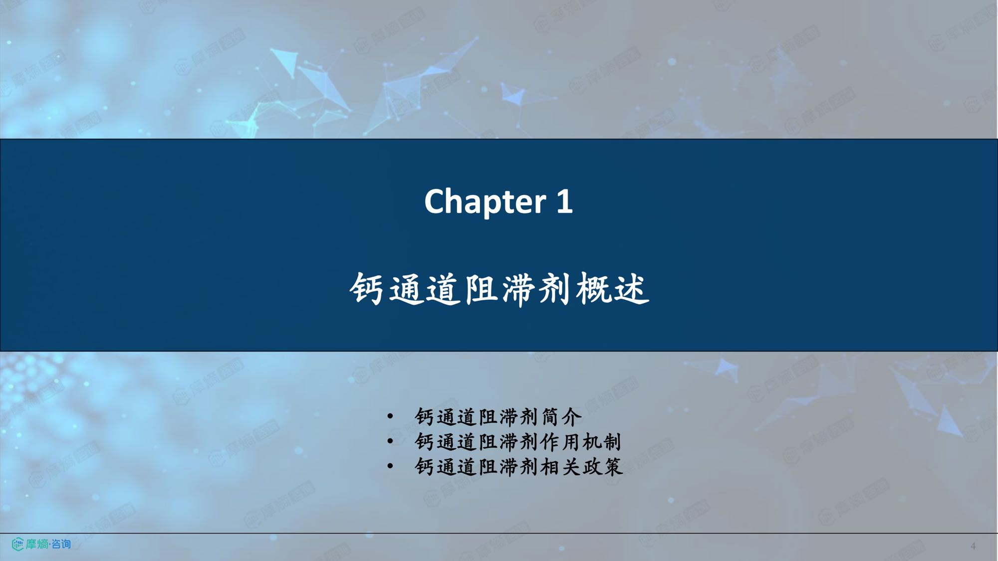 2026年钙通道阻滞剂市场表现洞察报告-摩熵咨询.pdf