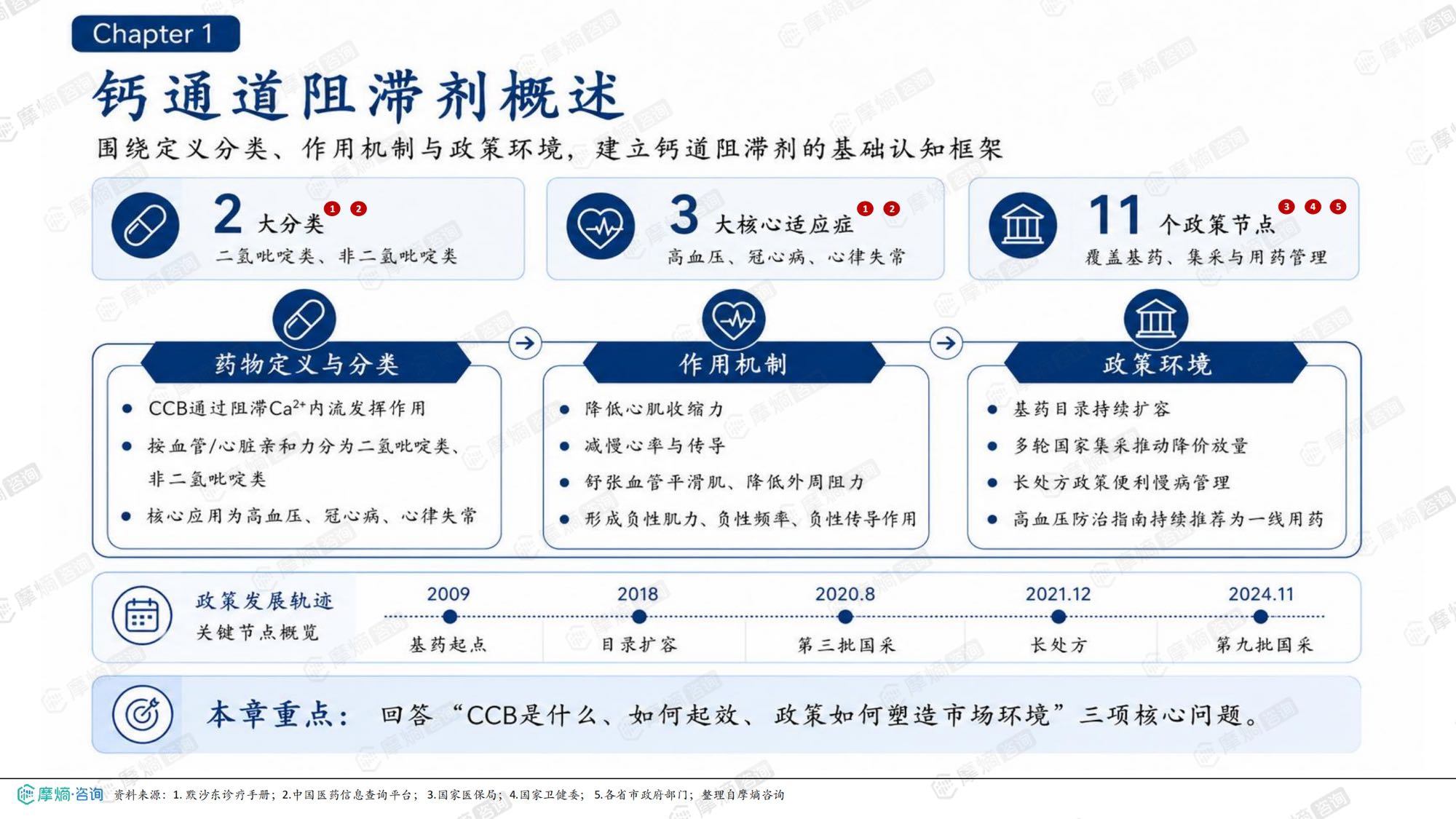 2026年钙通道阻滞剂市场表现洞察报告-摩熵咨询.pdf