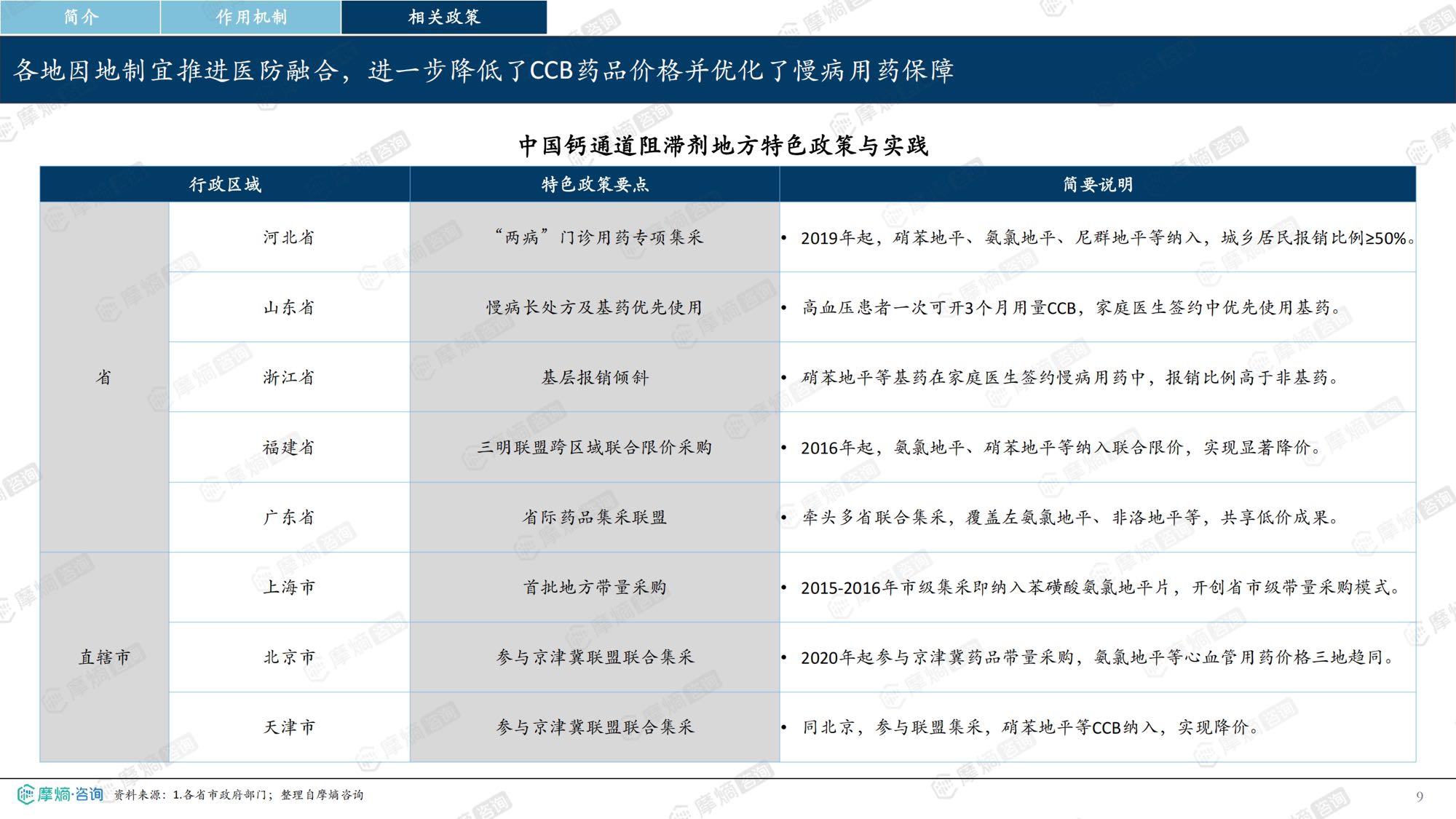 2026年钙通道阻滞剂市场表现洞察报告-摩熵咨询.pdf