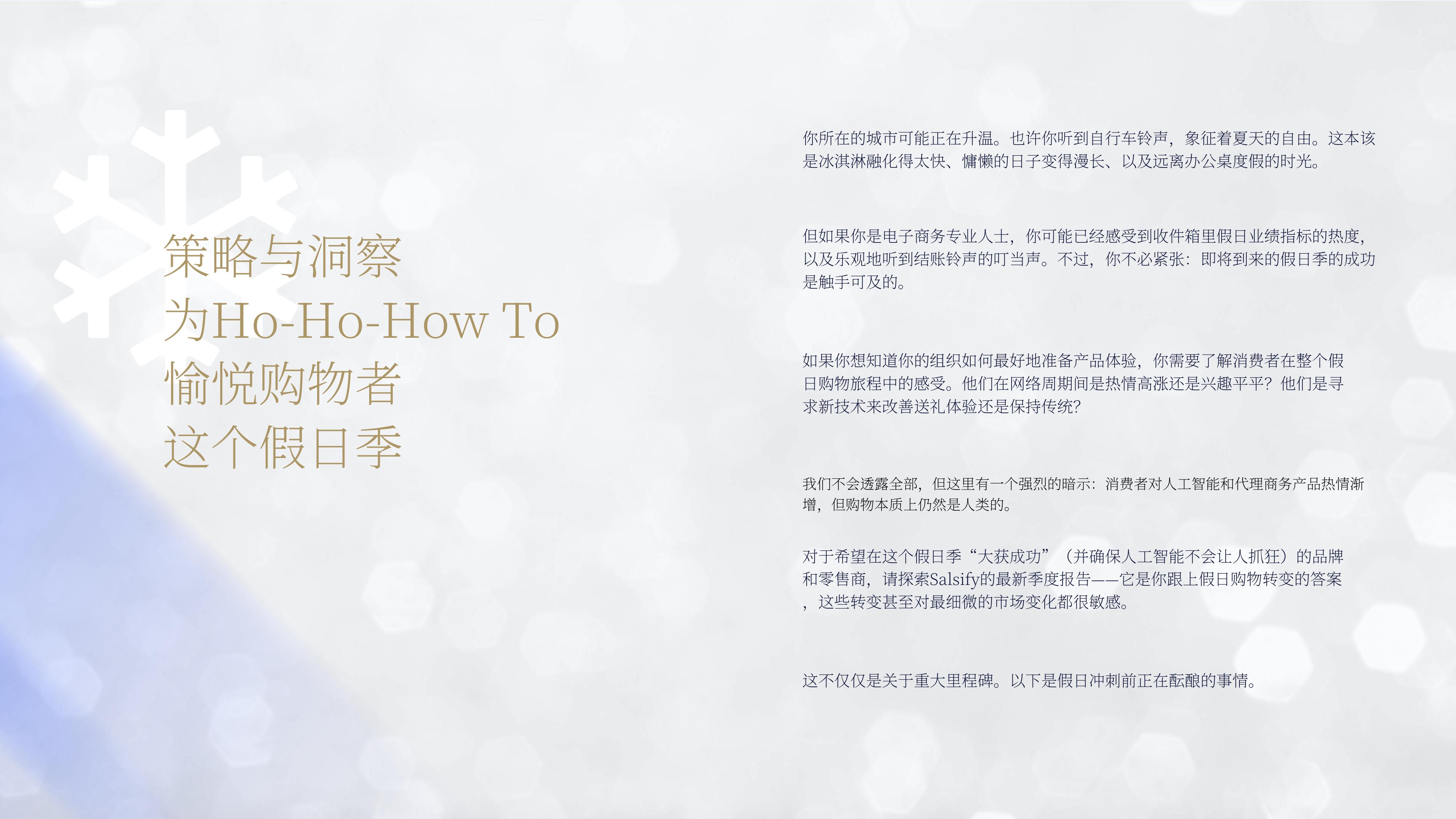 2026年假日季英美消费者脉搏报告-Salsify.pdf