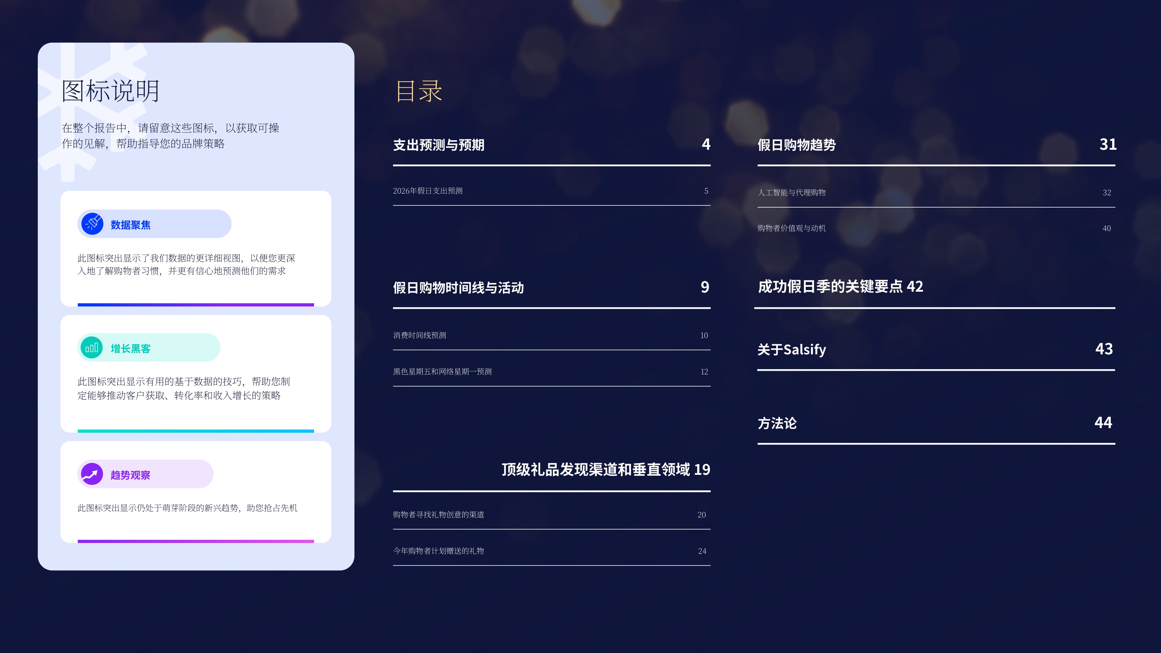 2026年假日季英美消费者脉搏报告-Salsify.pdf