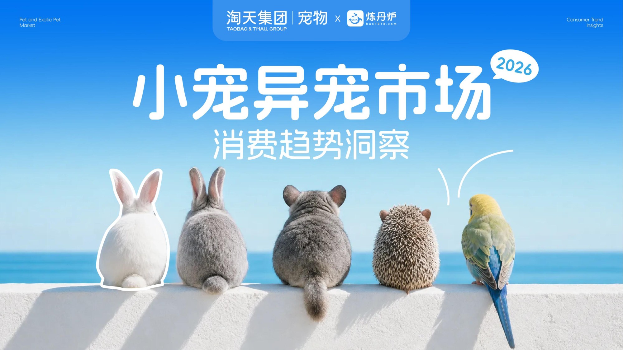 2026小宠异宠市场消费趋势洞察报告.pdf