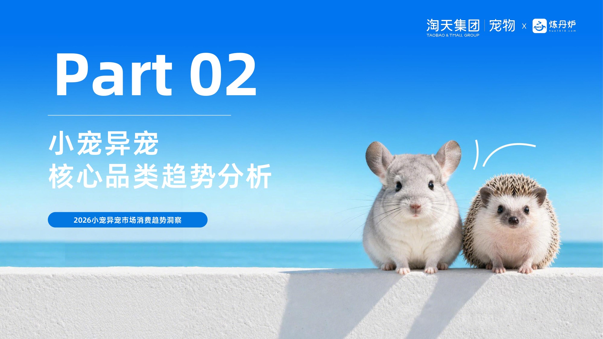 2026小宠异宠市场消费趋势洞察报告.pdf