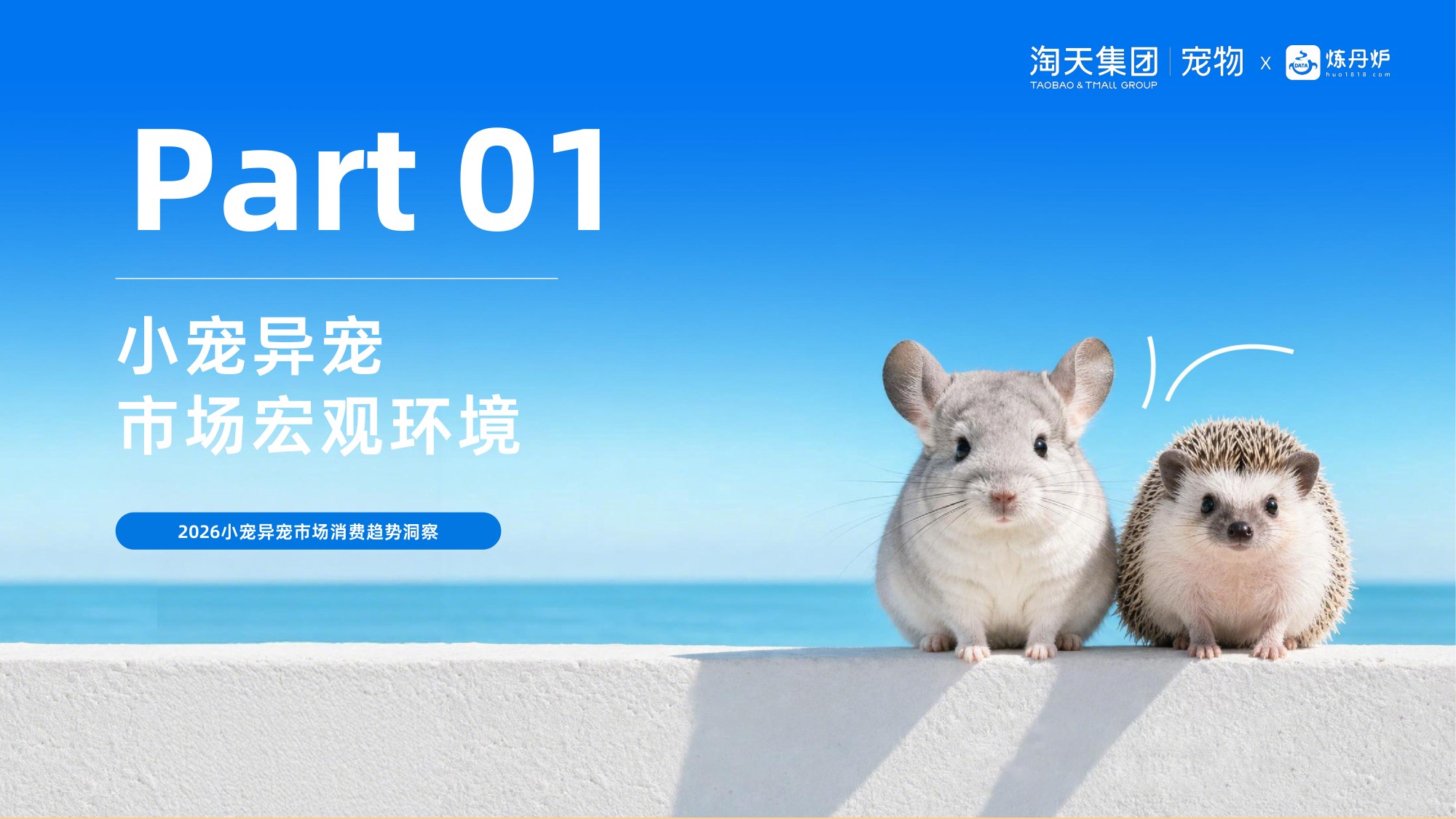 2026小宠异宠市场消费趋势洞察报告.pdf