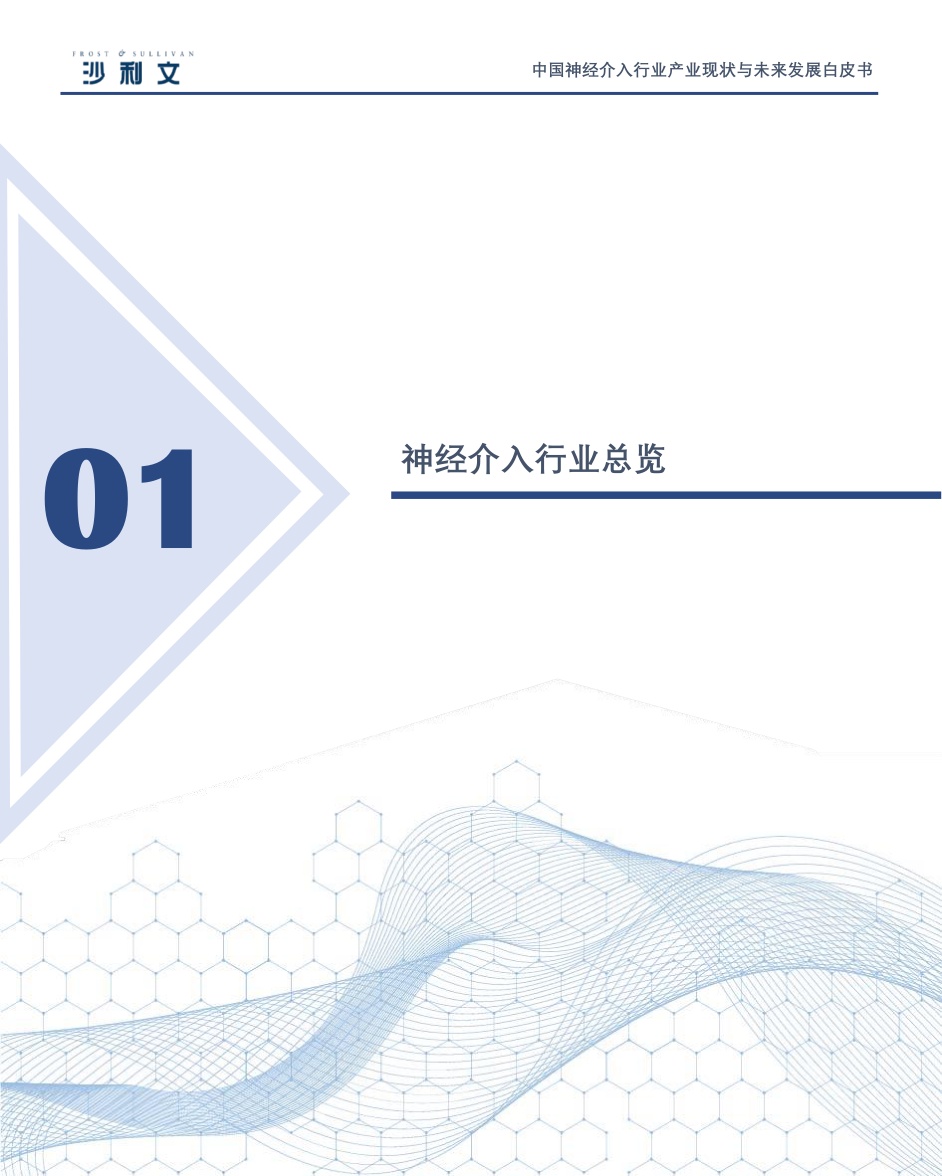 51页-沙利文：中国神经介入行业产业现状与未来发展白皮书.pdf