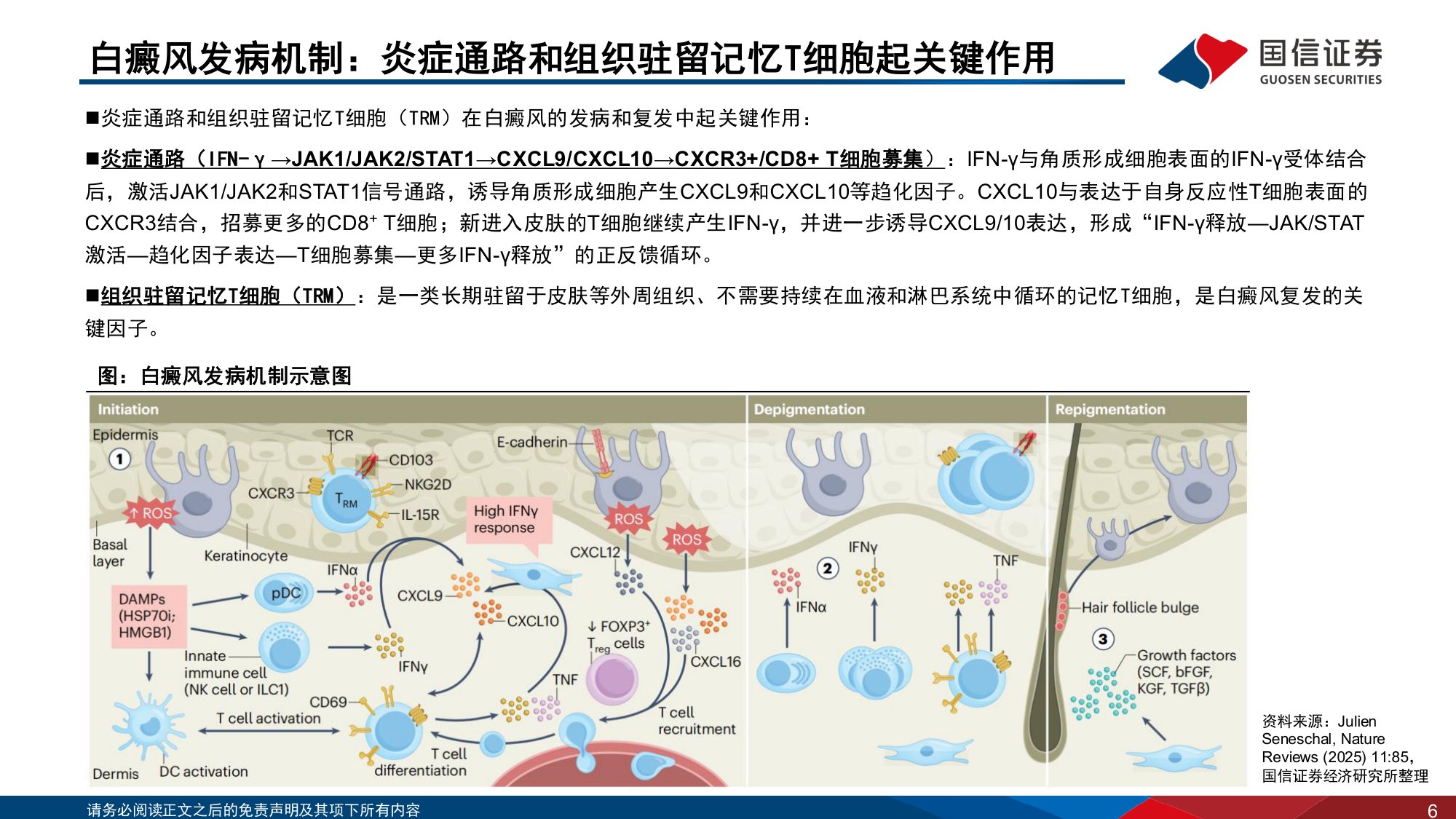 医药生物行业寻找未被满足的临床需求6白癜风从抑制炎症到清除免疫记忆-26090242页.pdf