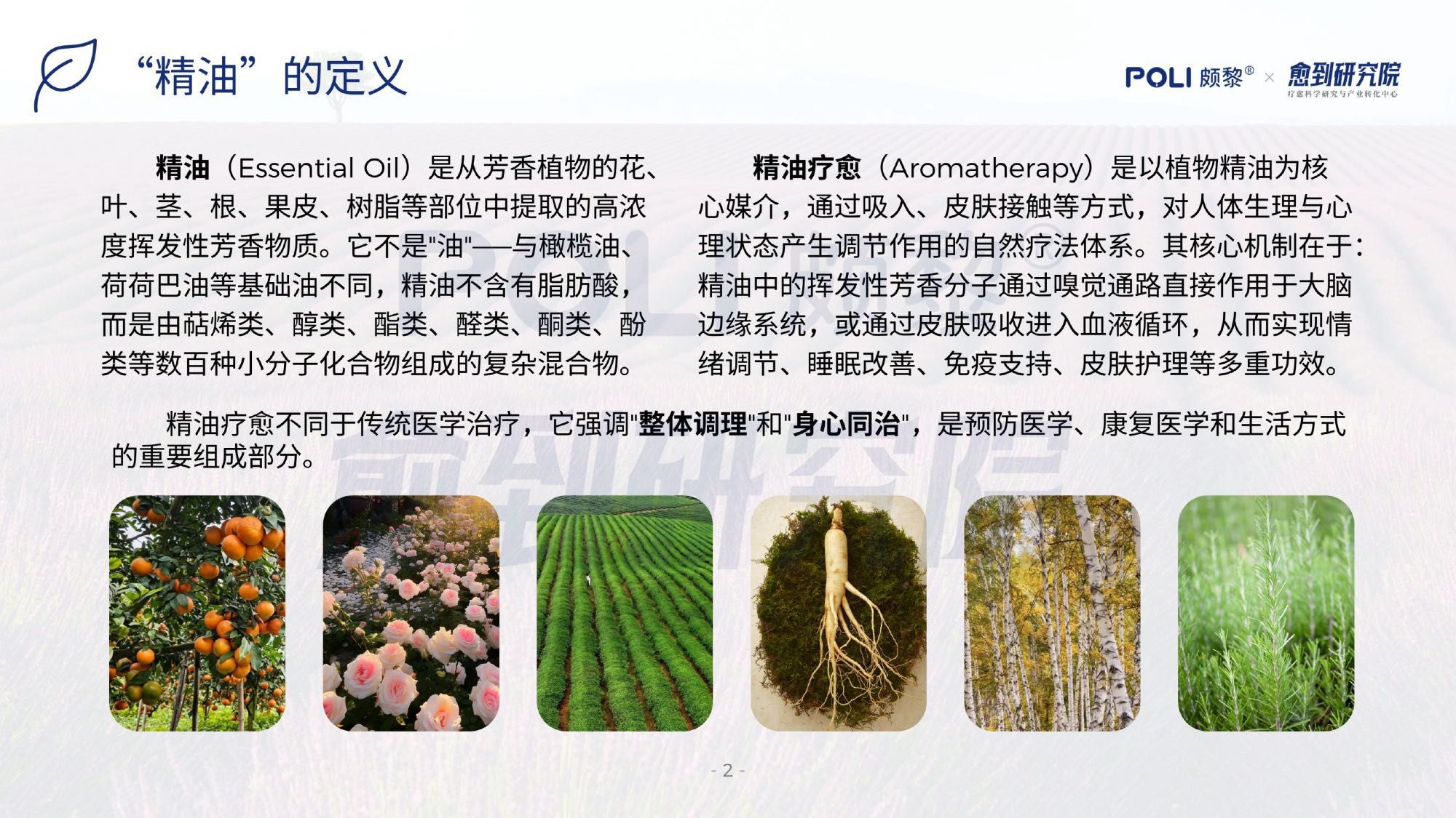 愈到研究院：精油疗愈蓝皮书（2026）.pdf
