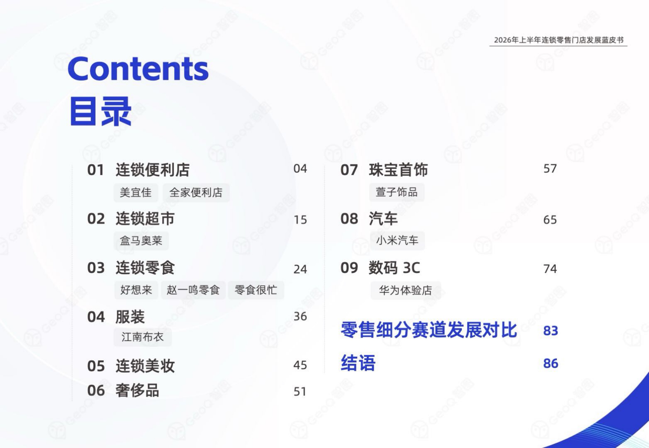 2026年上半年连锁零售门店发展蓝皮书-GeoQ智图.pdf