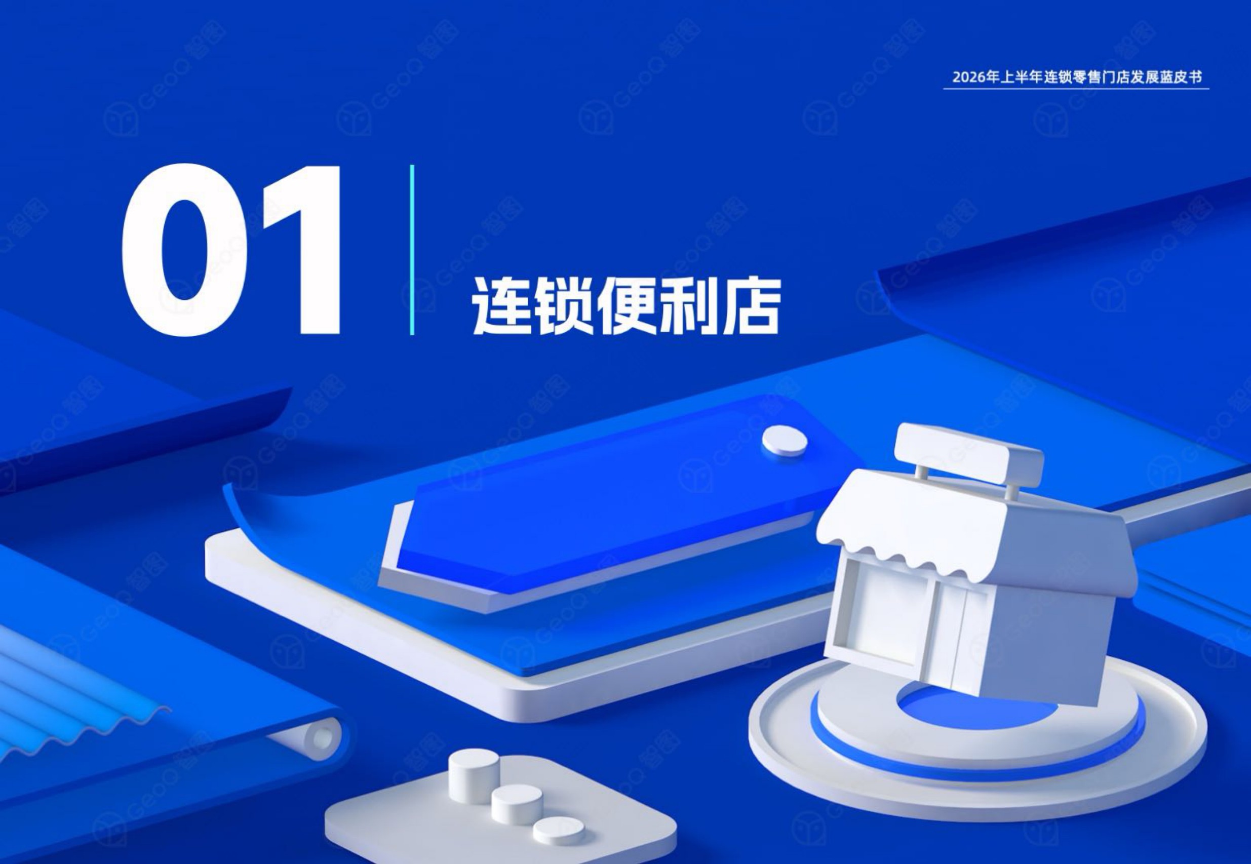 2026年上半年连锁零售门店发展蓝皮书-GeoQ智图.pdf