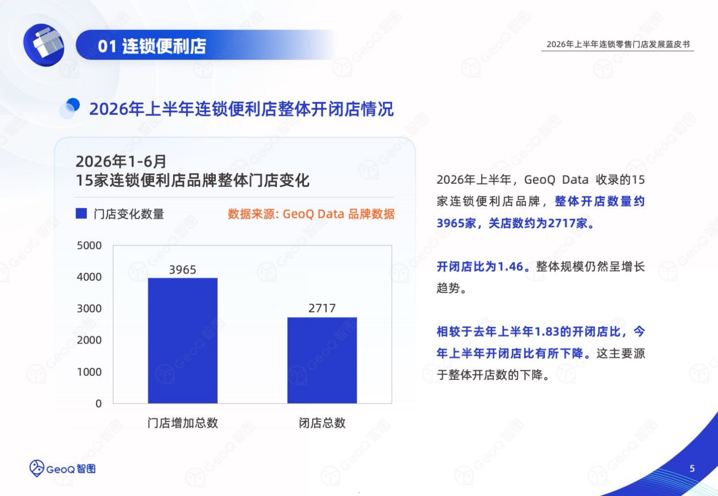 2026年上半年连锁零售门店发展蓝皮书-GeoQ智图.pdf