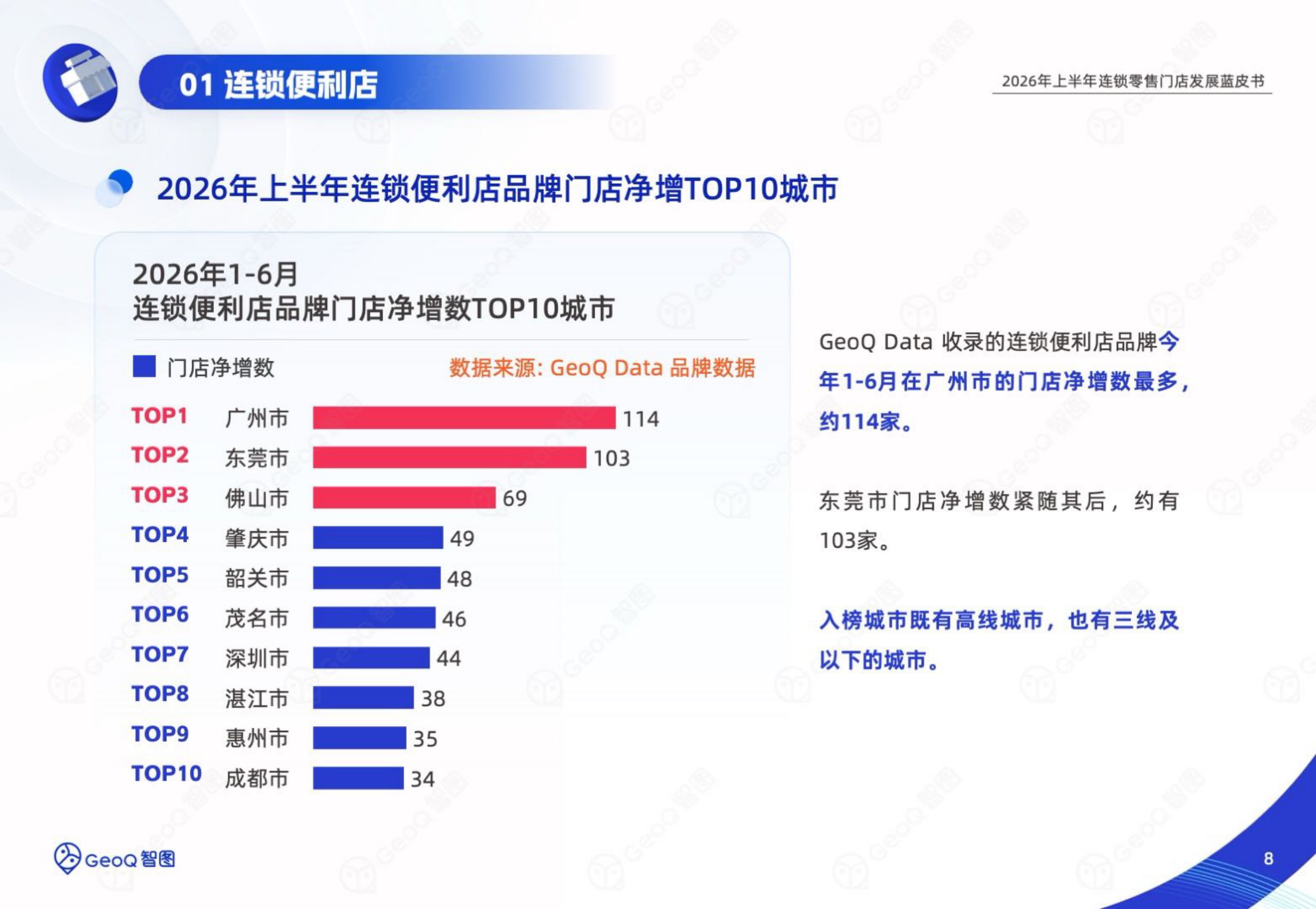 2026年上半年连锁零售门店发展蓝皮书-GeoQ智图.pdf