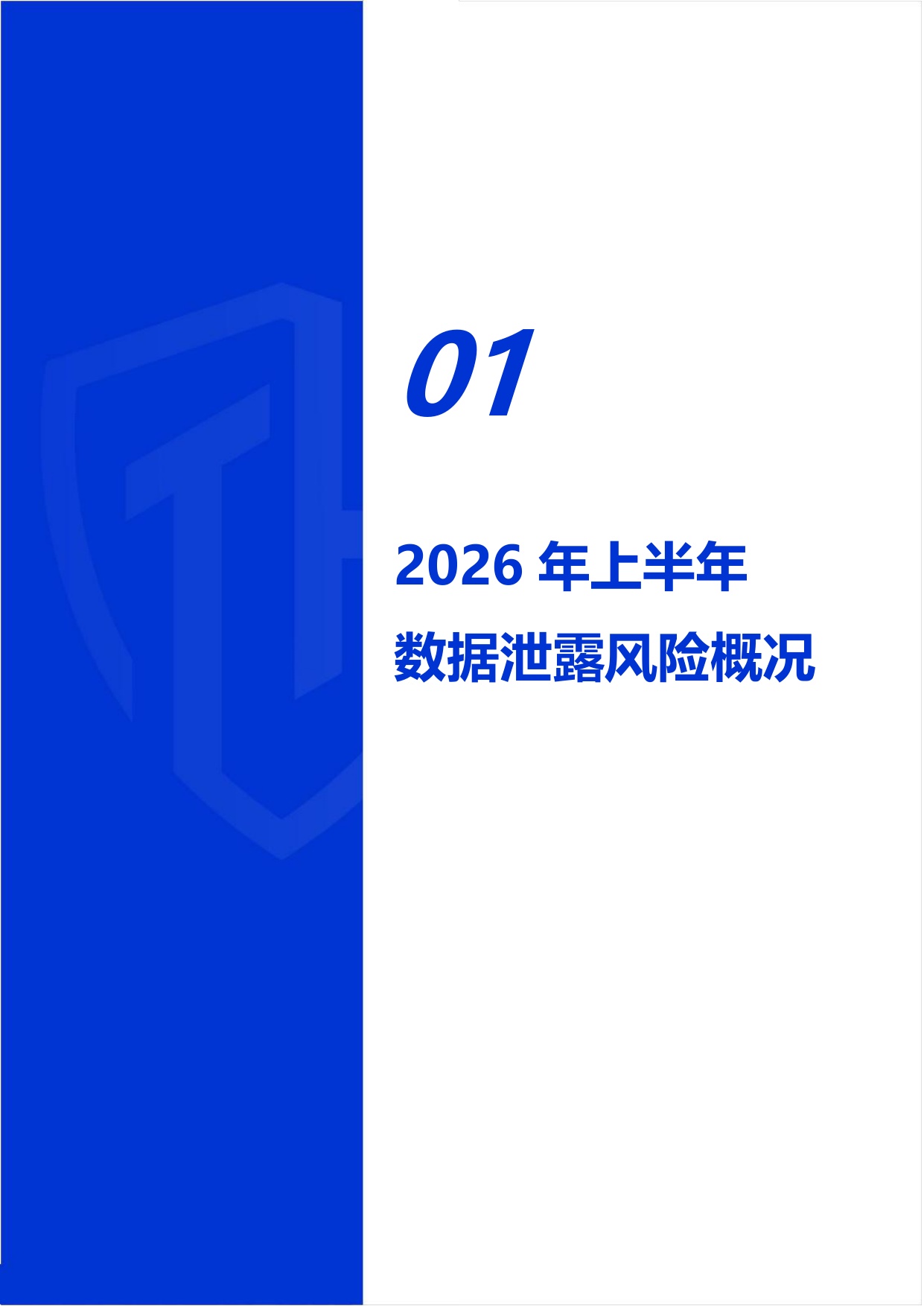 2026年上半年数据泄露风险态势报告.pdf