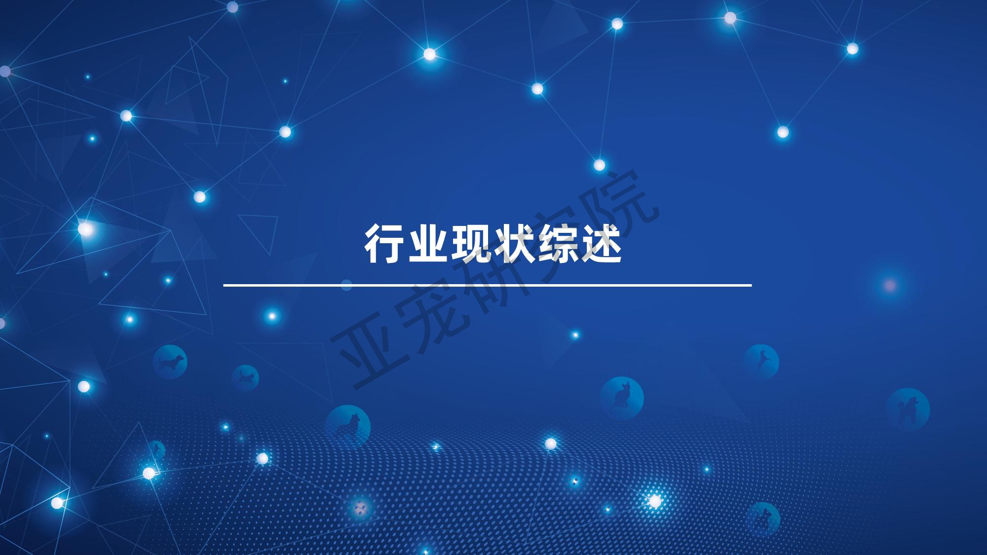 宠物行业蓝皮书-2026年中国宠物行业发展报告-亚宠研究院.pdf