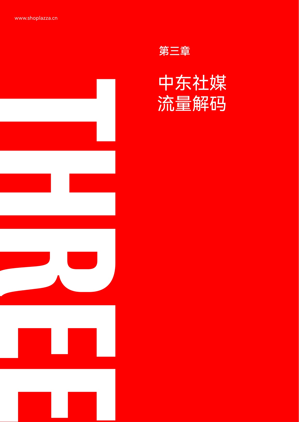 独立站增长新动力：2023中东跨境电商白皮书-店匠科技-41页.pdf