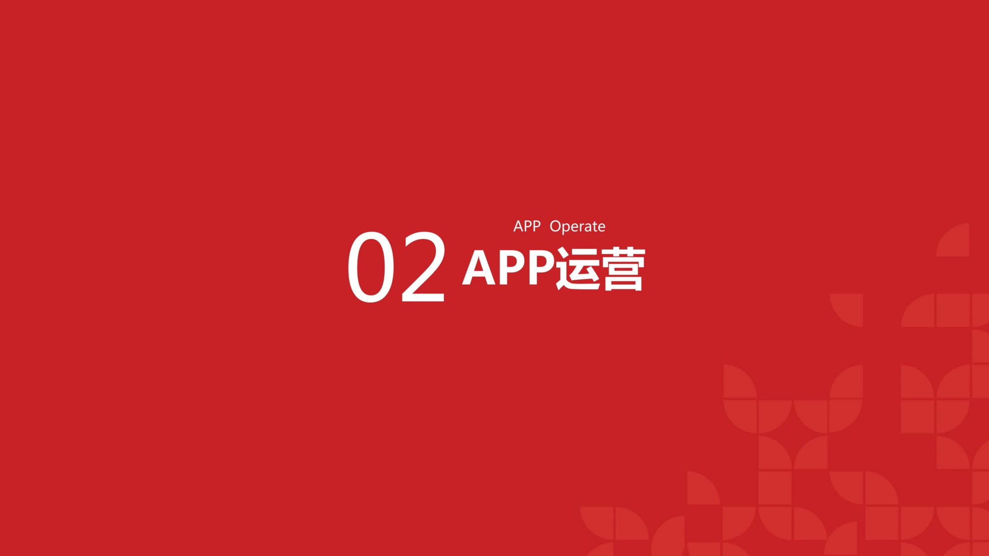 蔚来汽车用户运营方案.pdf