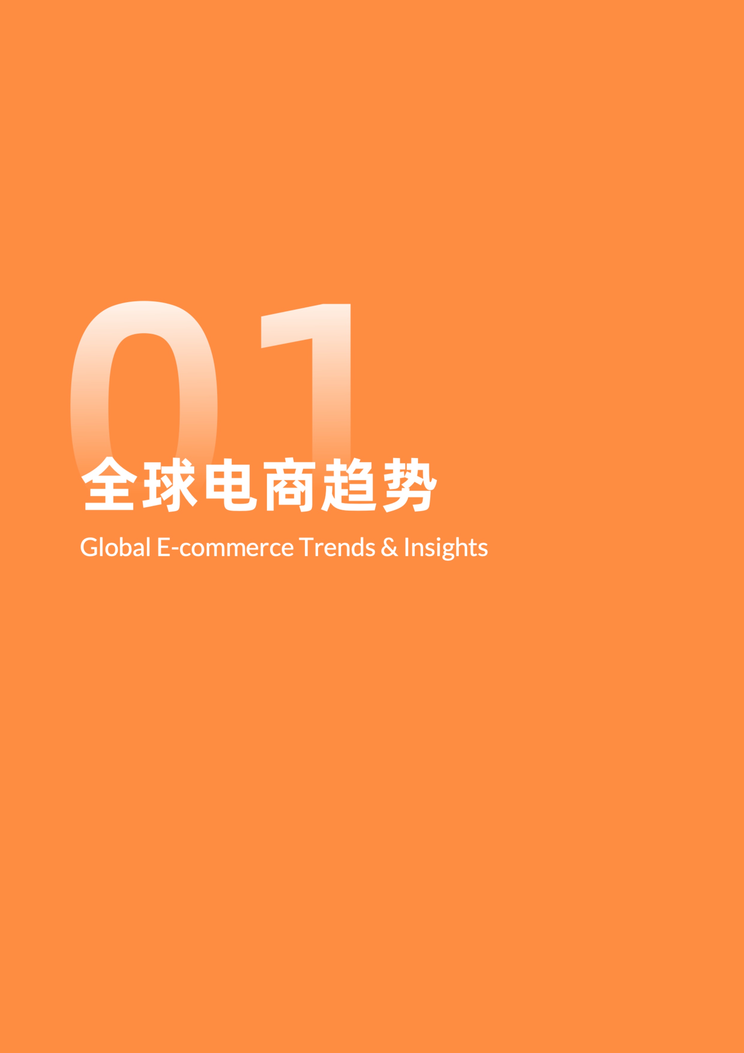 2026年全球DTC独立站营销洞察报告-56页.pdf