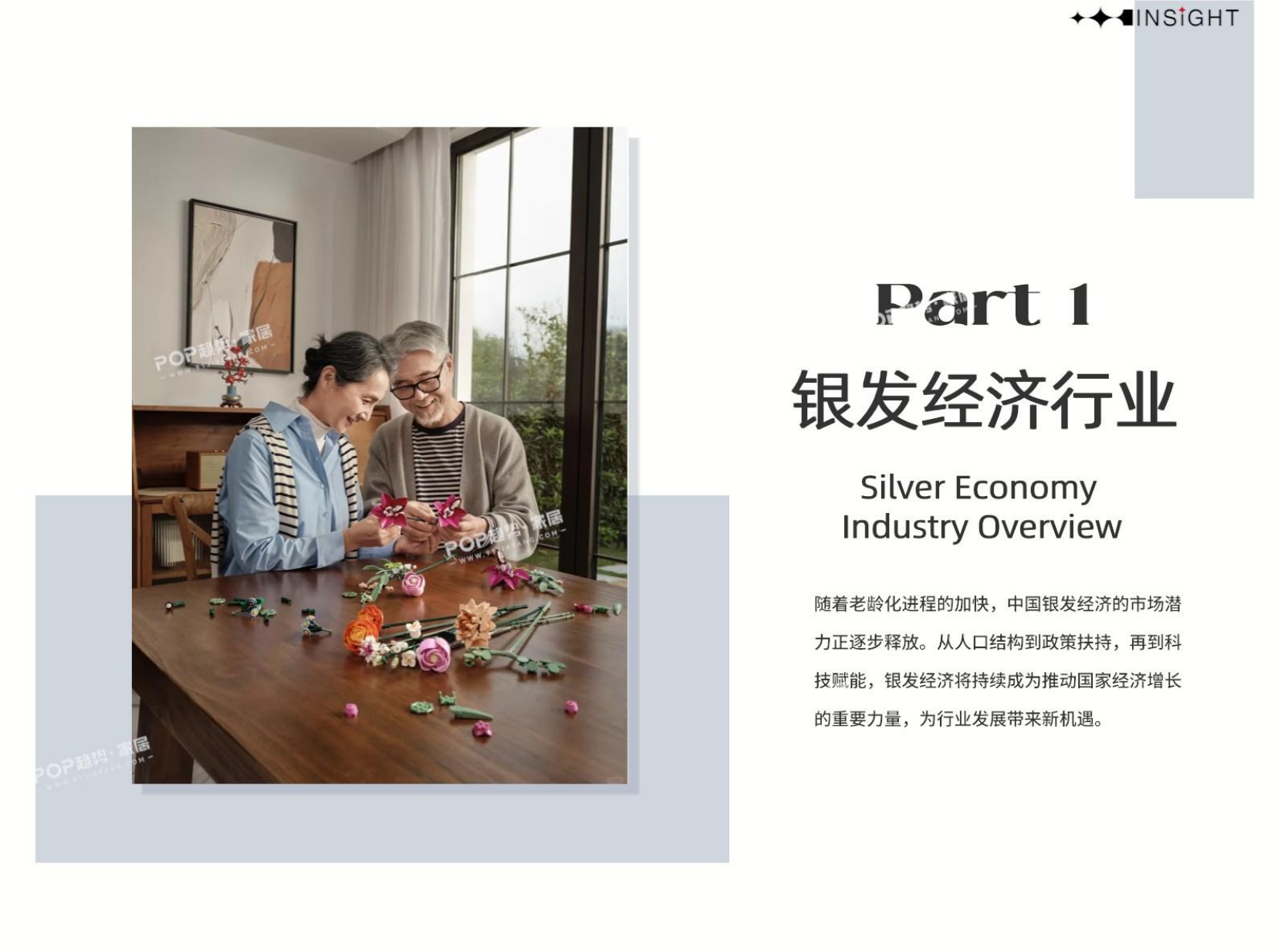 2026年银发经济行业洞察.pdf