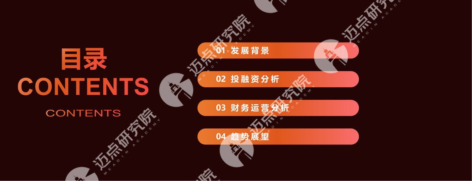 2026年中国文旅集团投资运营发展报告.pdf
