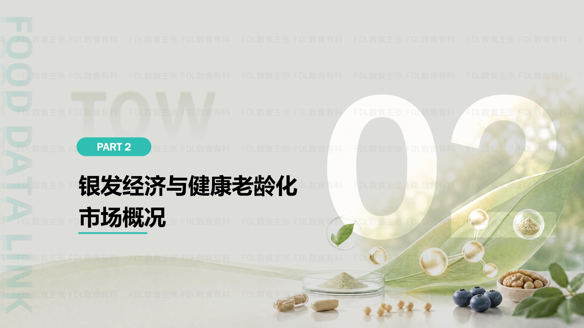 2026银发健康与长寿营养原料创新及应用洞察报告-FDL数食主张.pdf