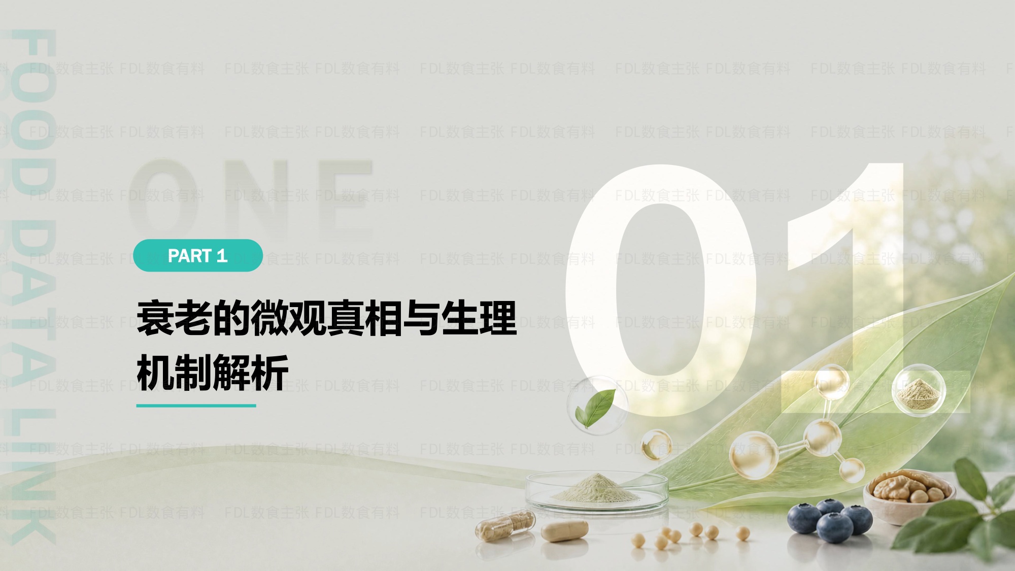2026银发健康与长寿营养原料创新及应用洞察报告-FDL数食主张.pdf