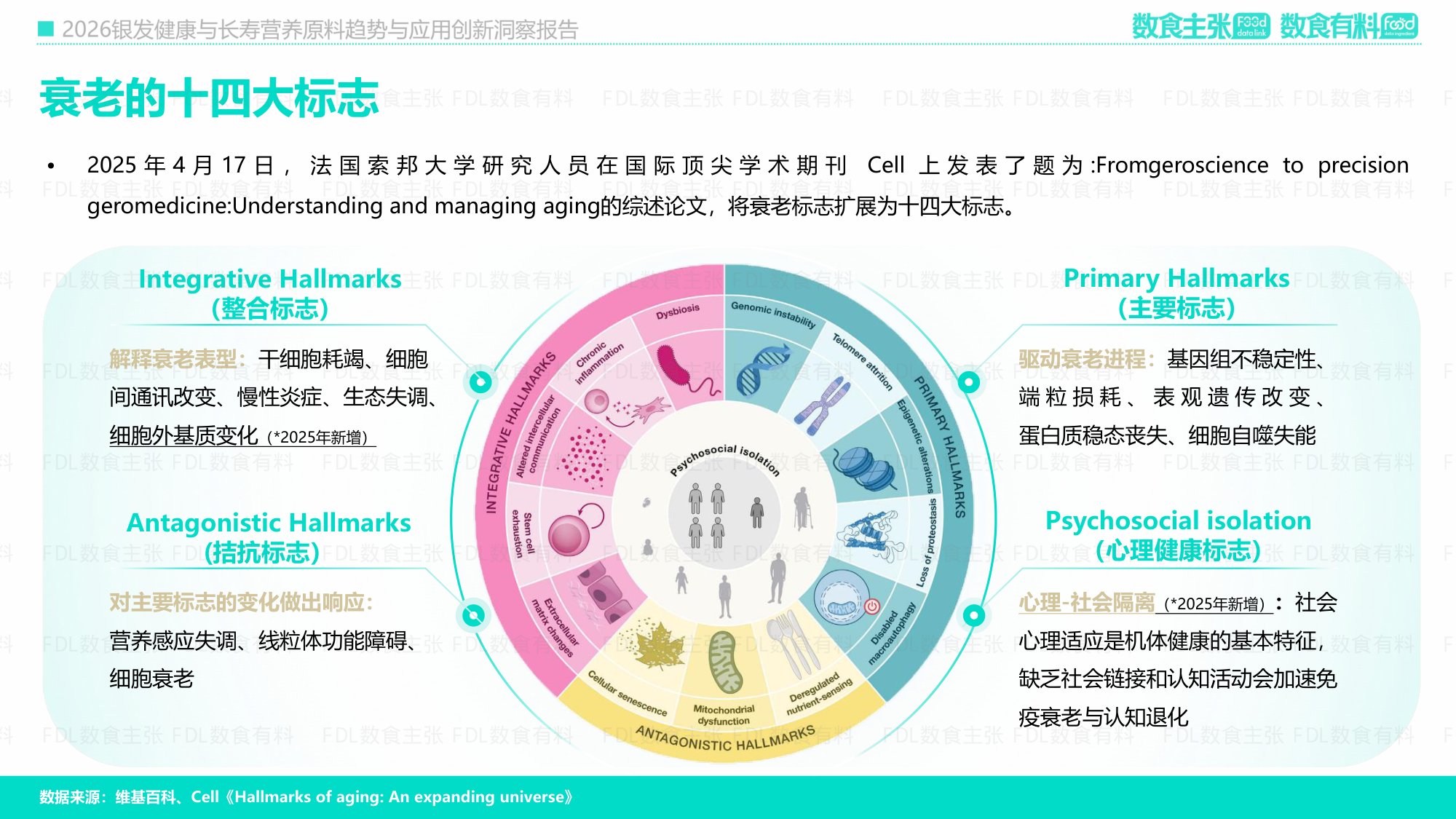 2026银发健康与长寿营养原料创新及应用洞察报告-FDL数食主张.pdf