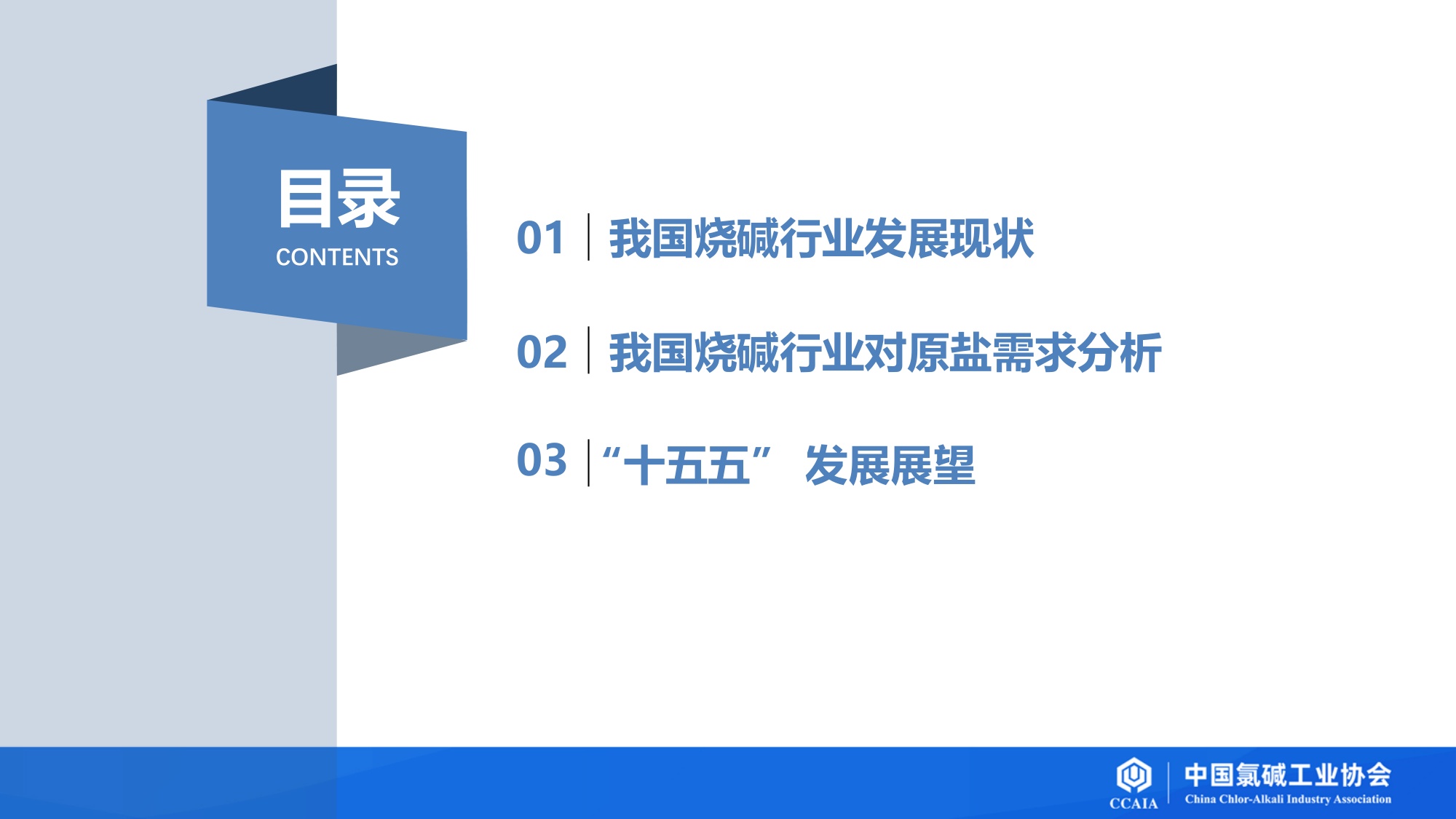 我国烧碱行业发展现状及“十五五”发展展望.pdf
