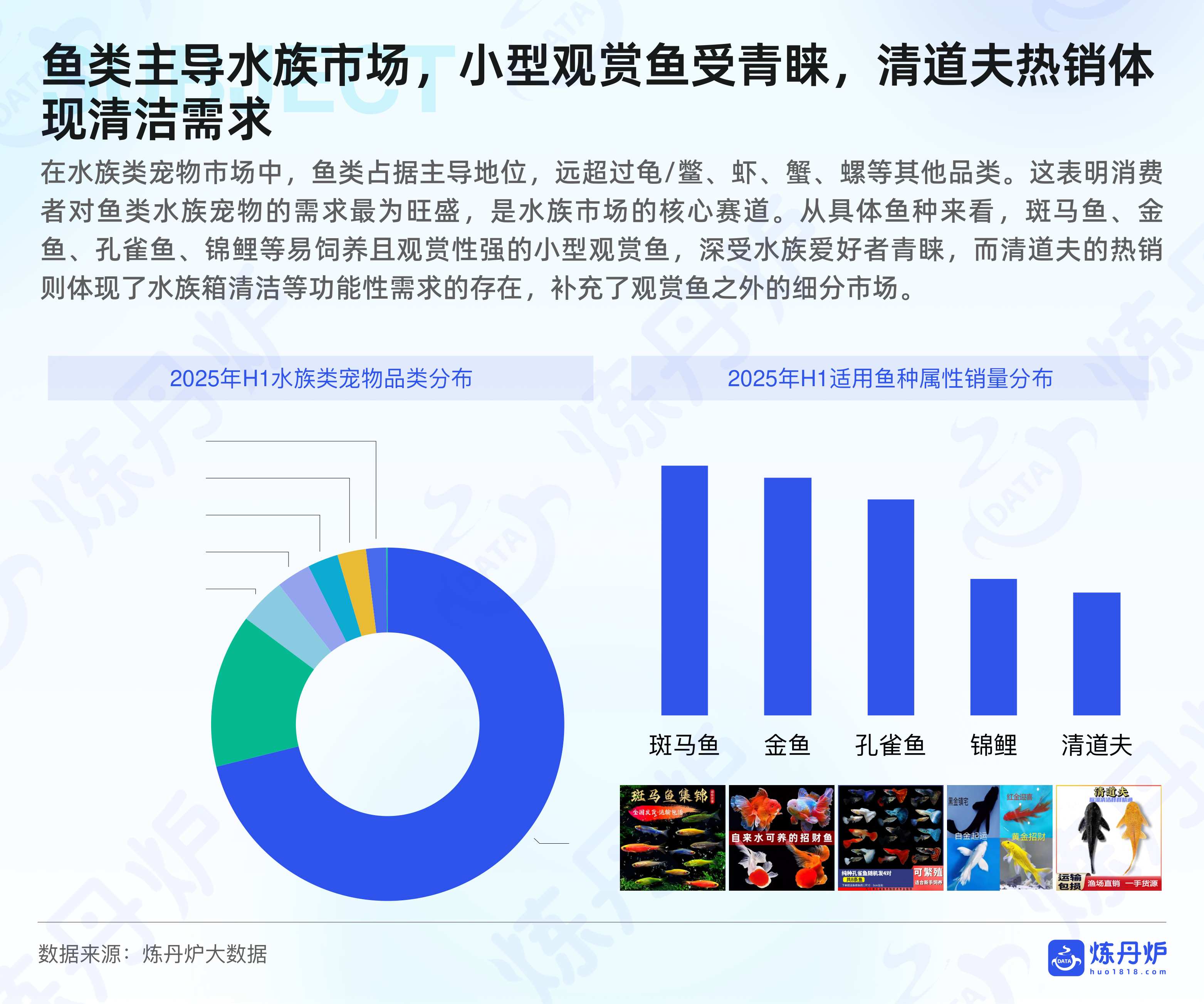 2025水族小宠异宠市场消费洞察报告.pdf