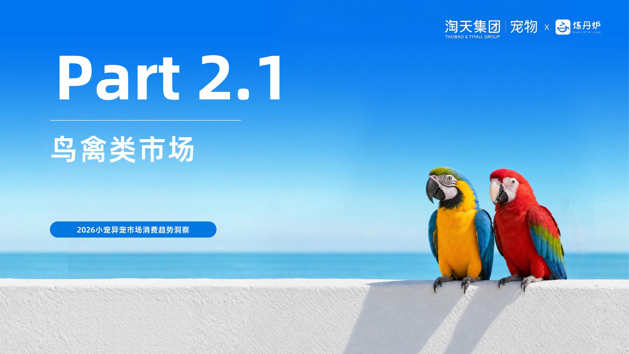 2026小宠异宠市场消费趋势洞察报告-炼丹炉全域数据.pdf