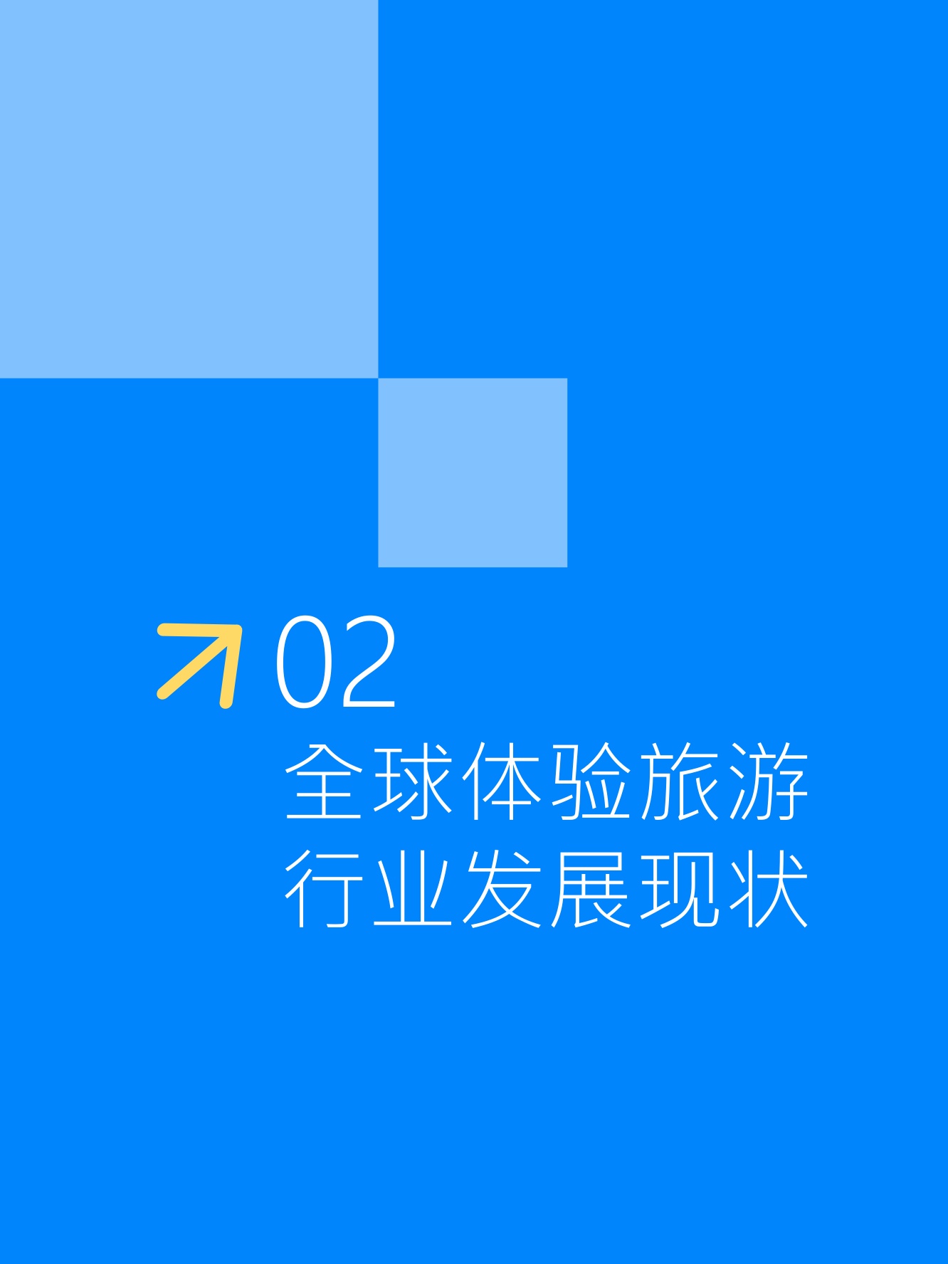 Fastdata极数：全球体验旅游市场洞察报告2026.pdf