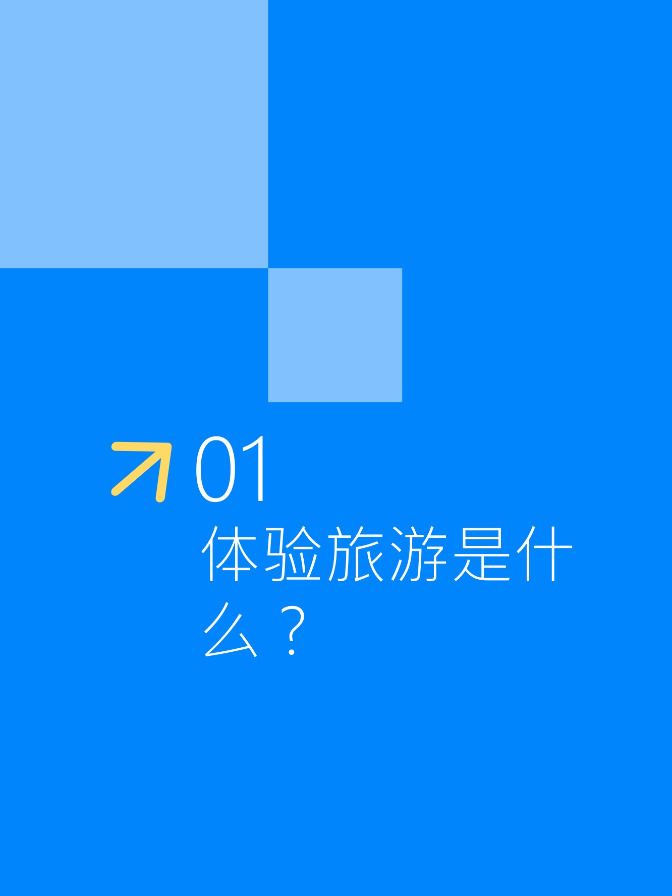 Fastdata极数：全球体验旅游市场洞察报告2026.pdf