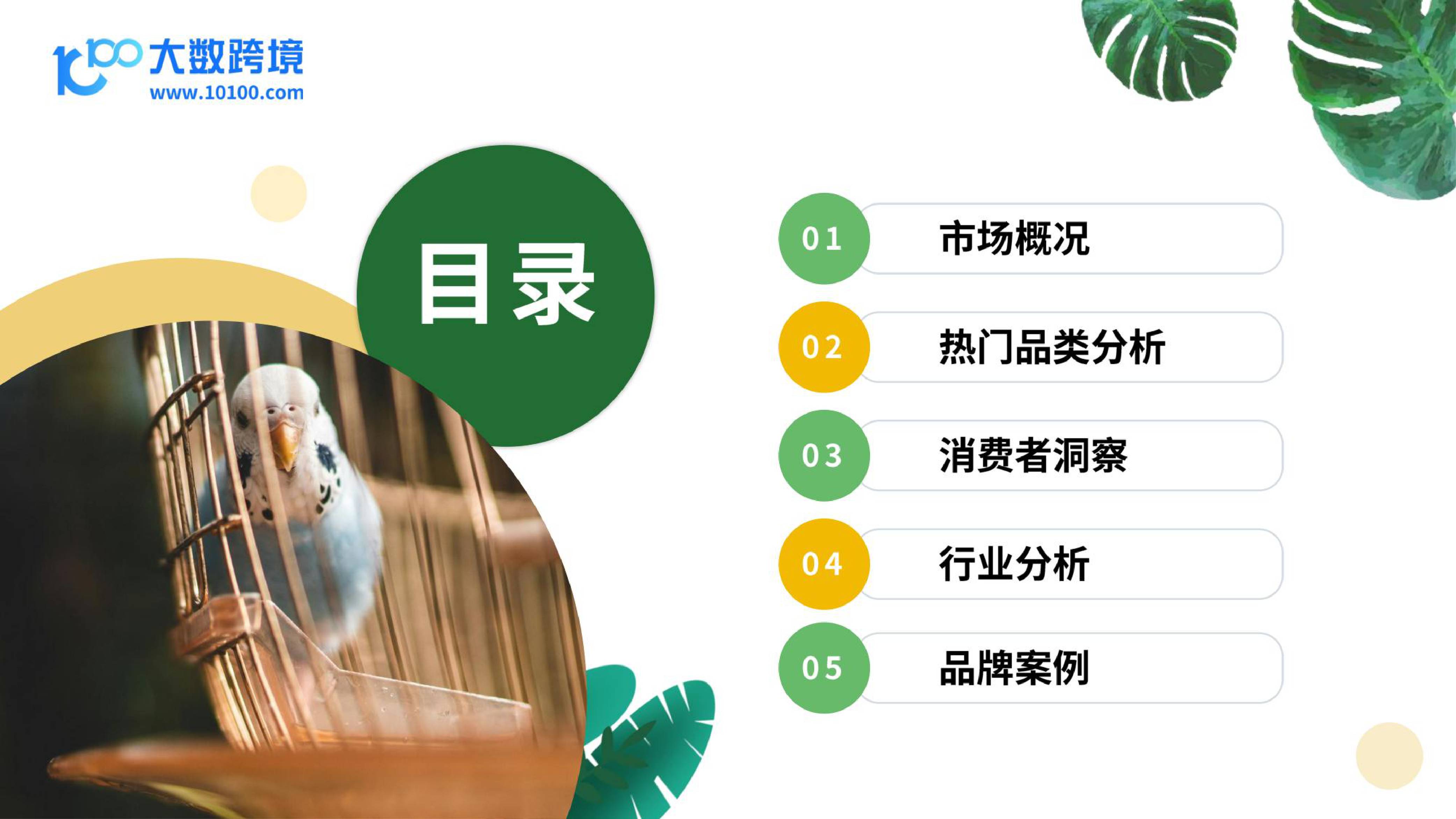 大数跨境：2025小宠异宠用品市场洞察报告.pdf