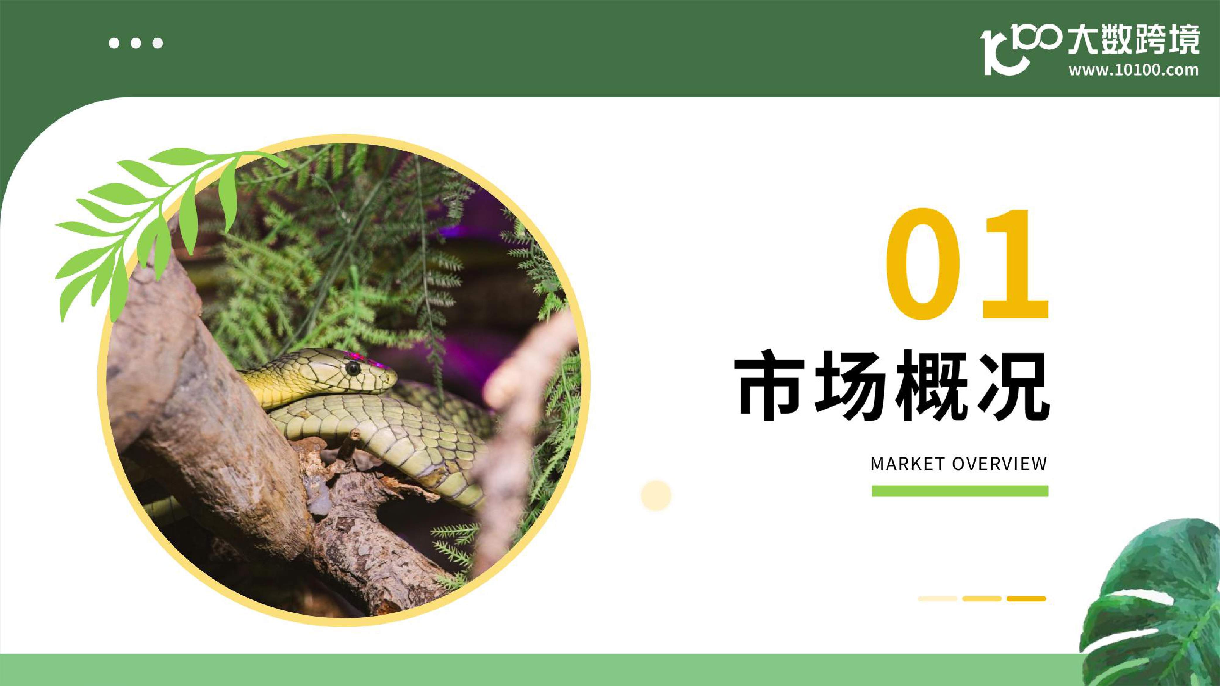 大数跨境：2025小宠异宠用品市场洞察报告.pdf
