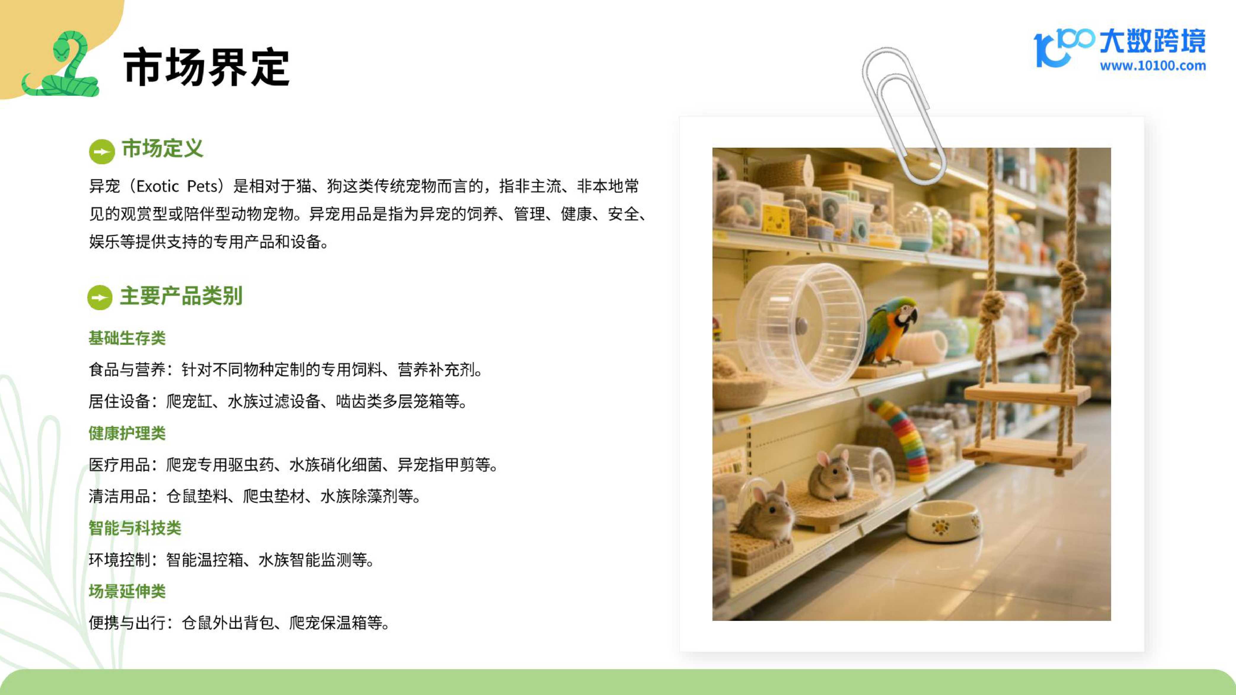 大数跨境：2025小宠异宠用品市场洞察报告.pdf