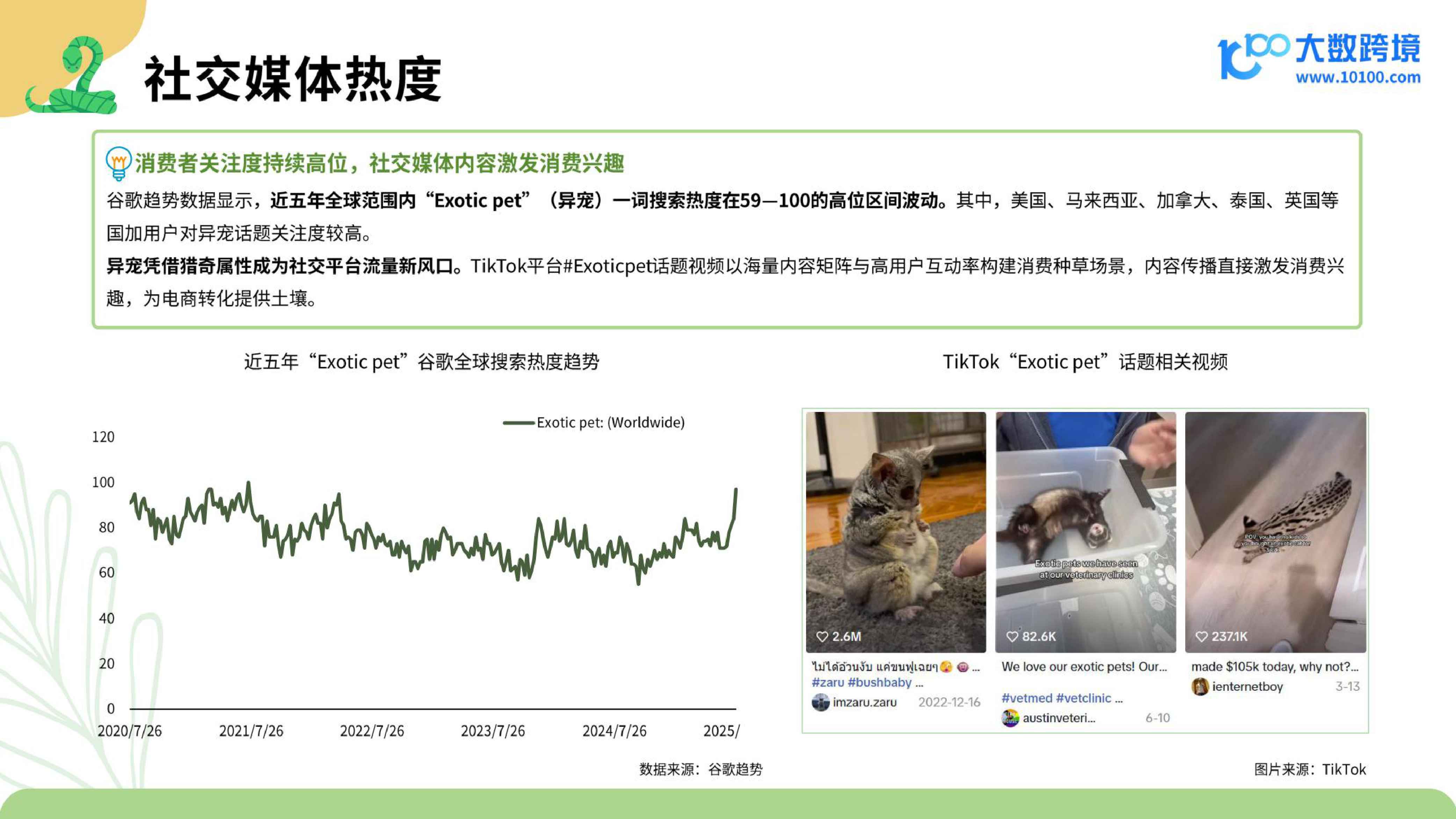 大数跨境：2025小宠异宠用品市场洞察报告.pdf
