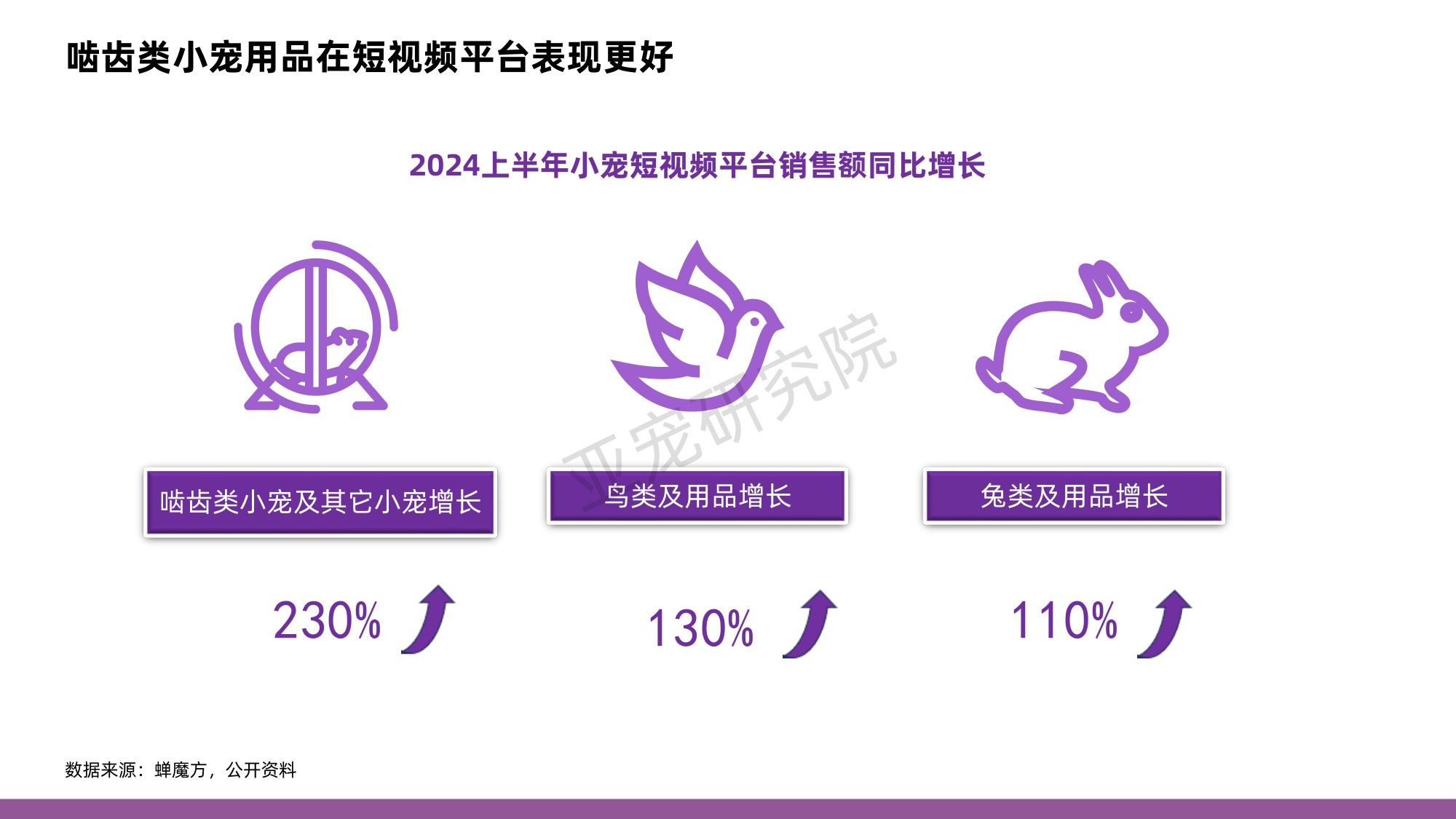 亚宠研究院&淘天集团：2024年中国小宠消费者洞察MINI蓝皮书.pdf